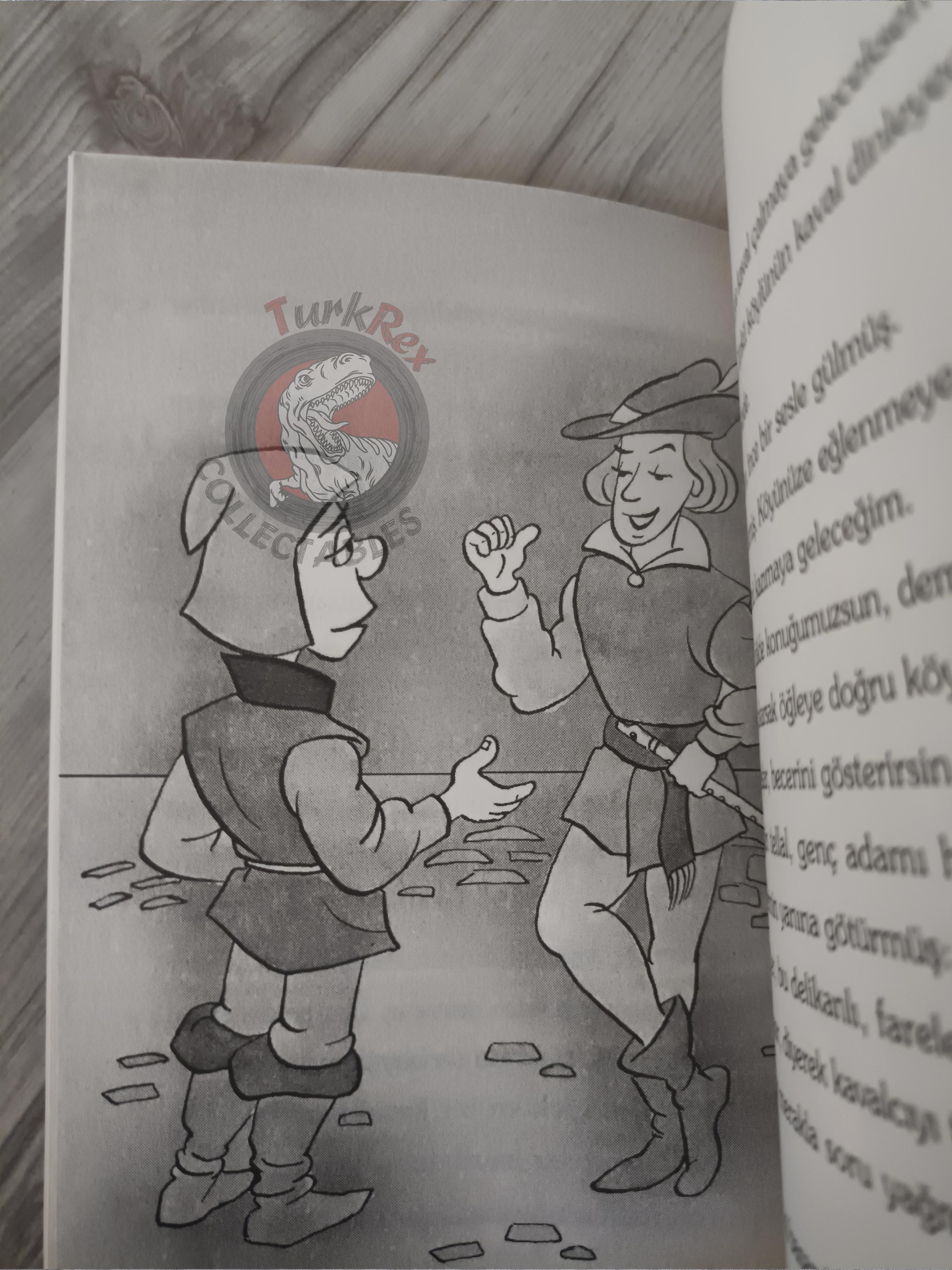 Grimm Brothers – Pied Piper of Hamelin 2009 Turkish Book Turkey Illustrated