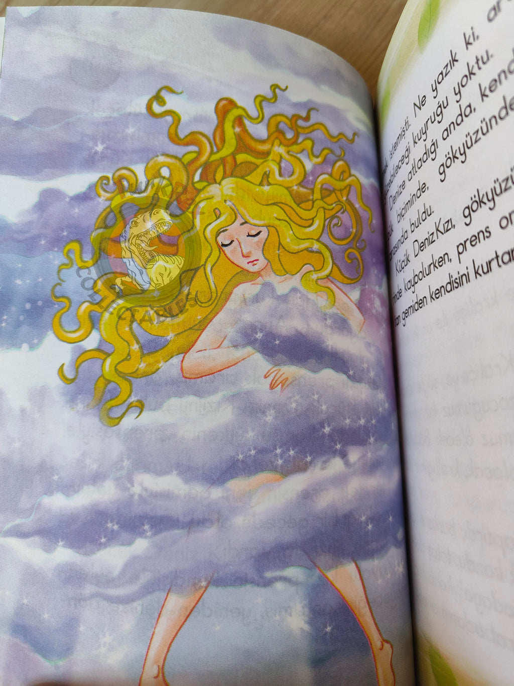 Hans Christian Andersen – The Little Mermaid 2010 Turkish Book Turkey Illustrated 2