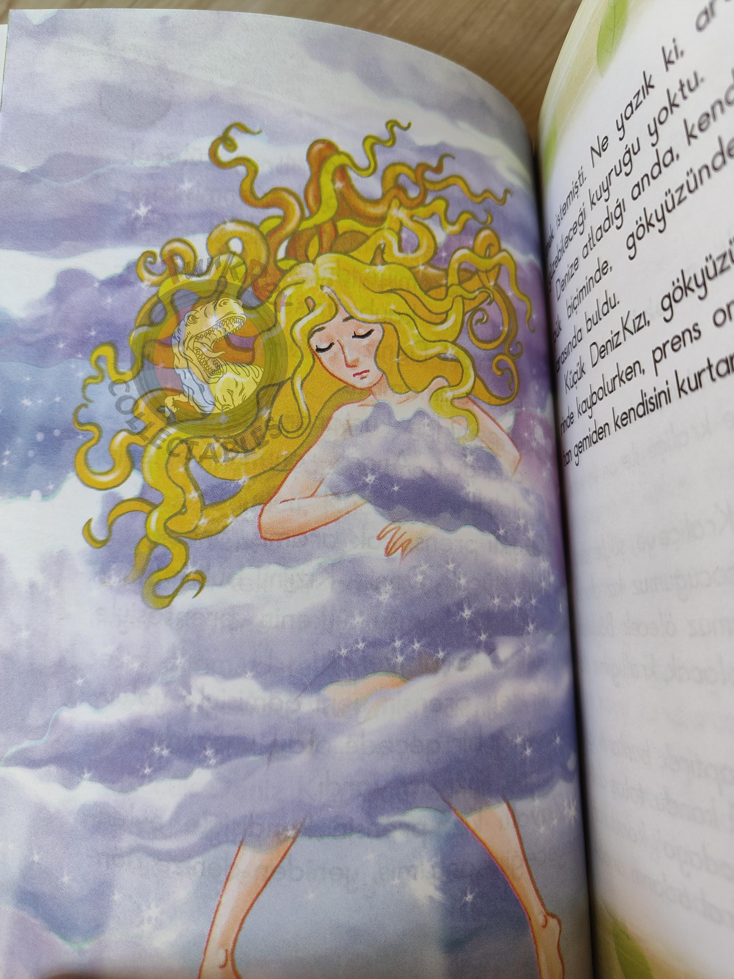 Hans Christian Andersen – The Little Mermaid 2010 Turkish Book Turkey Illustrated 2