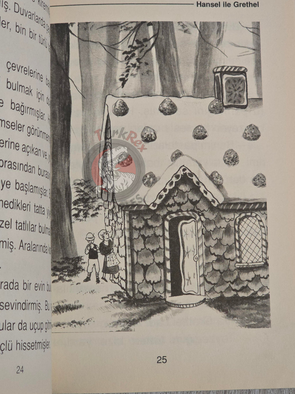 Grimm Brothers –  Hansel and Gretel 2005 Turkish Book Turkey Illustrated