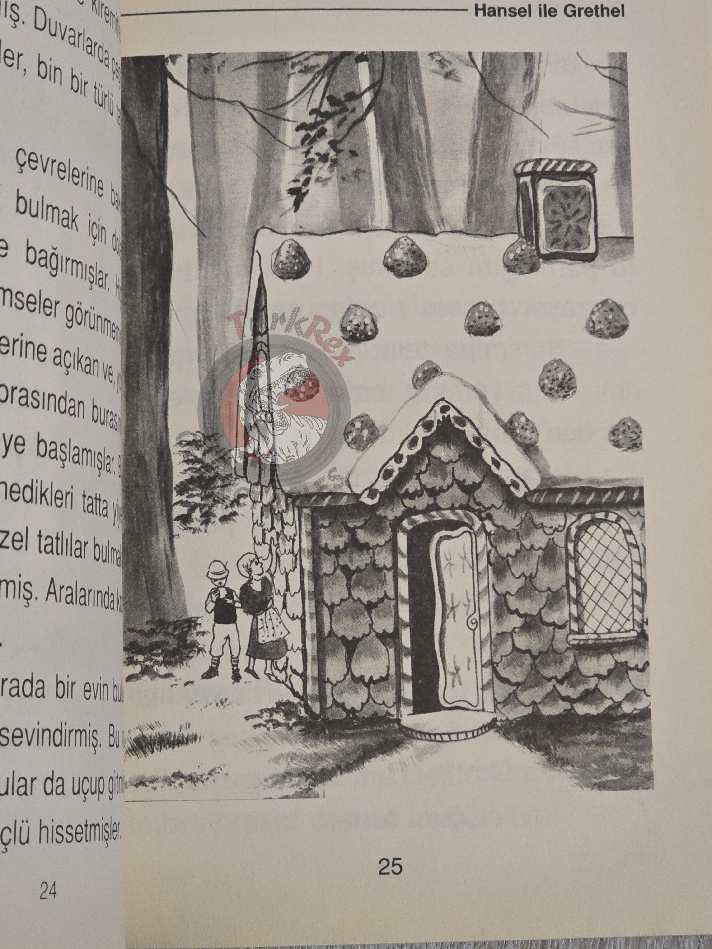 Grimm Brothers –  Hansel and Gretel 2005 Turkish Book Turkey Illustrated