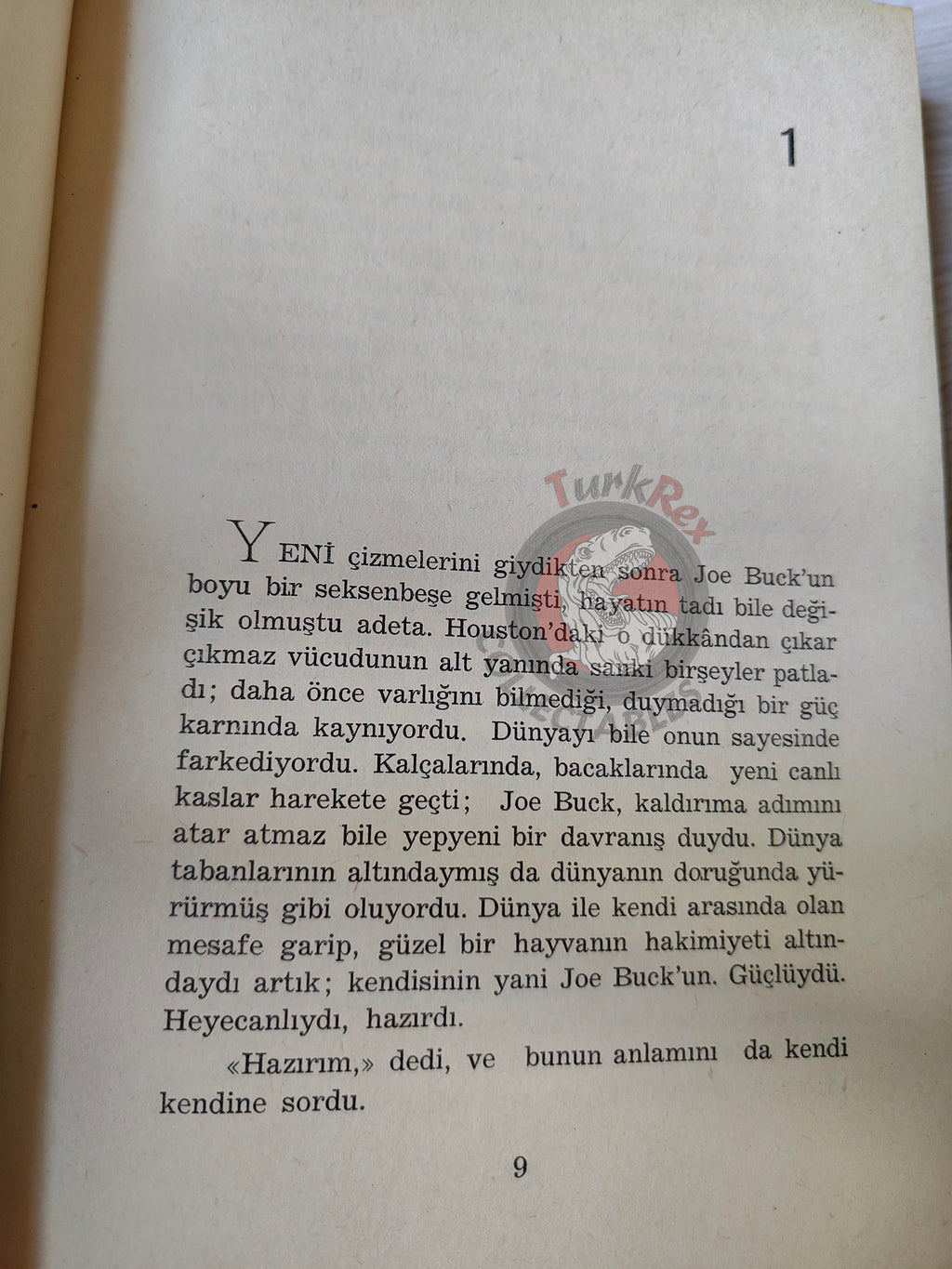 James Leo Herlihy – Midnight Cowboy 1970 1st HC/DJ Turkish Book Turkey