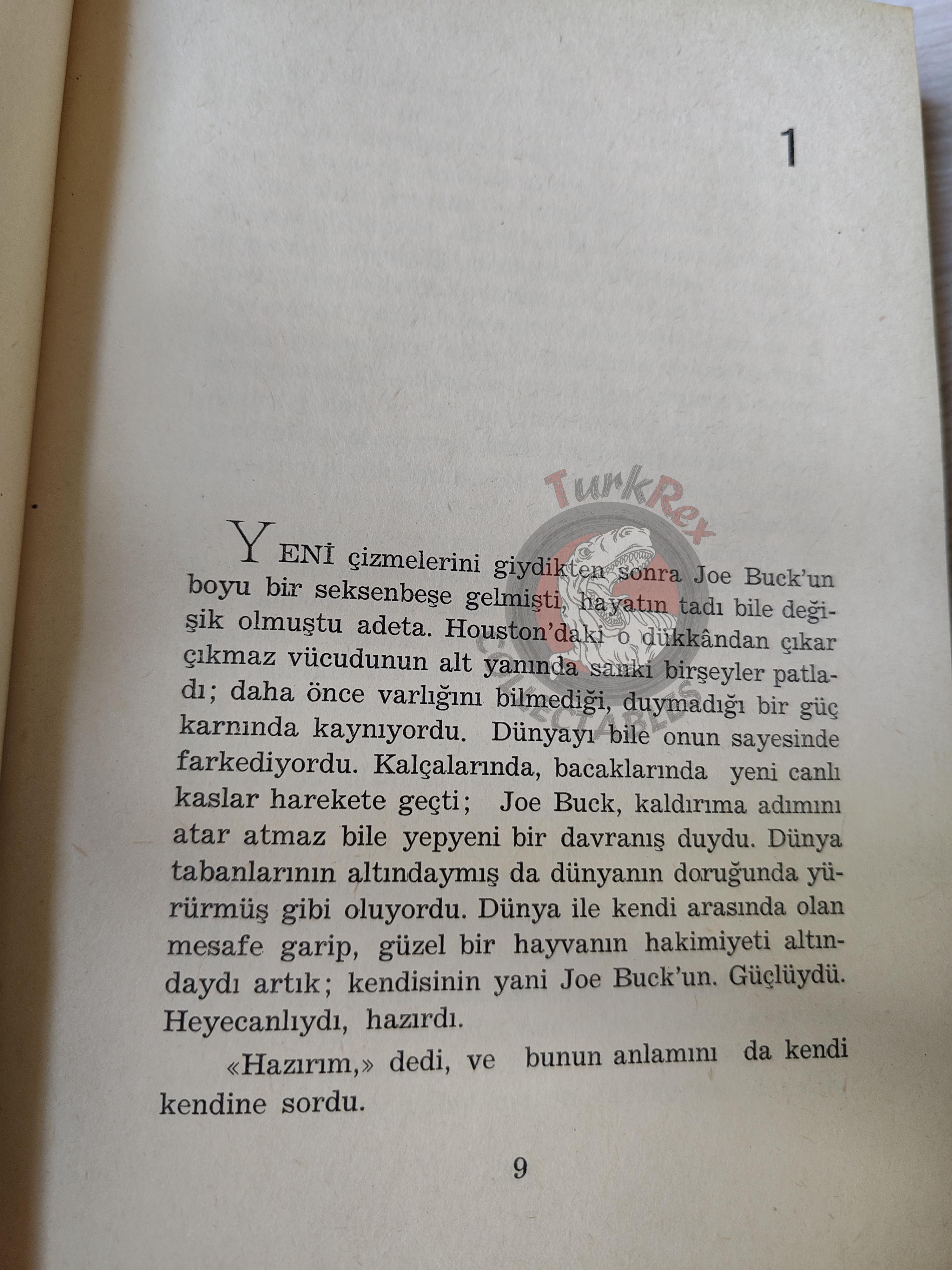 James Leo Herlihy – Midnight Cowboy 1970 1st HC/DJ Turkish Book Turkey