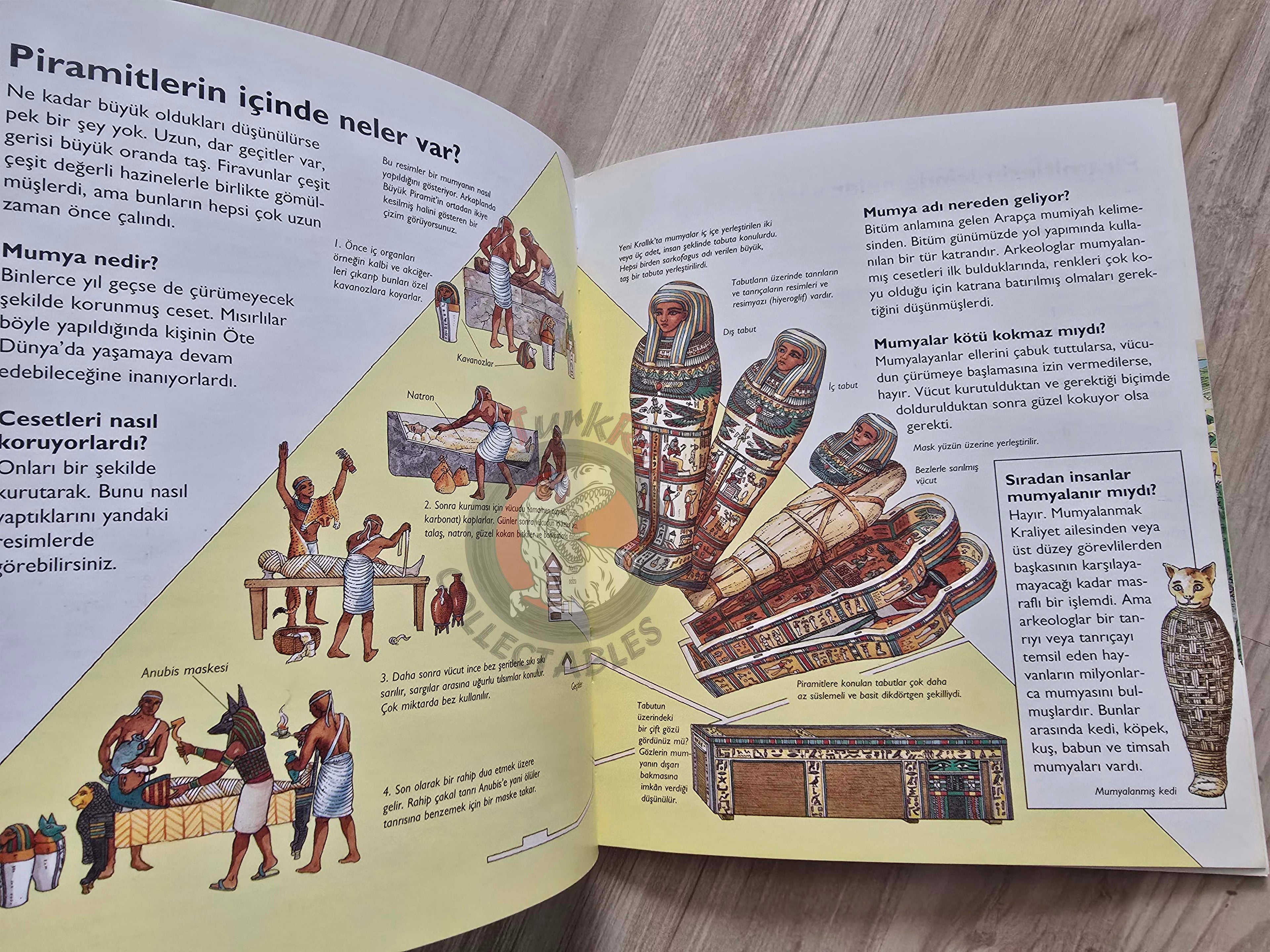 Jane Chisholm – Who Built The Pyramids? 2006 Turkish Book Turkey