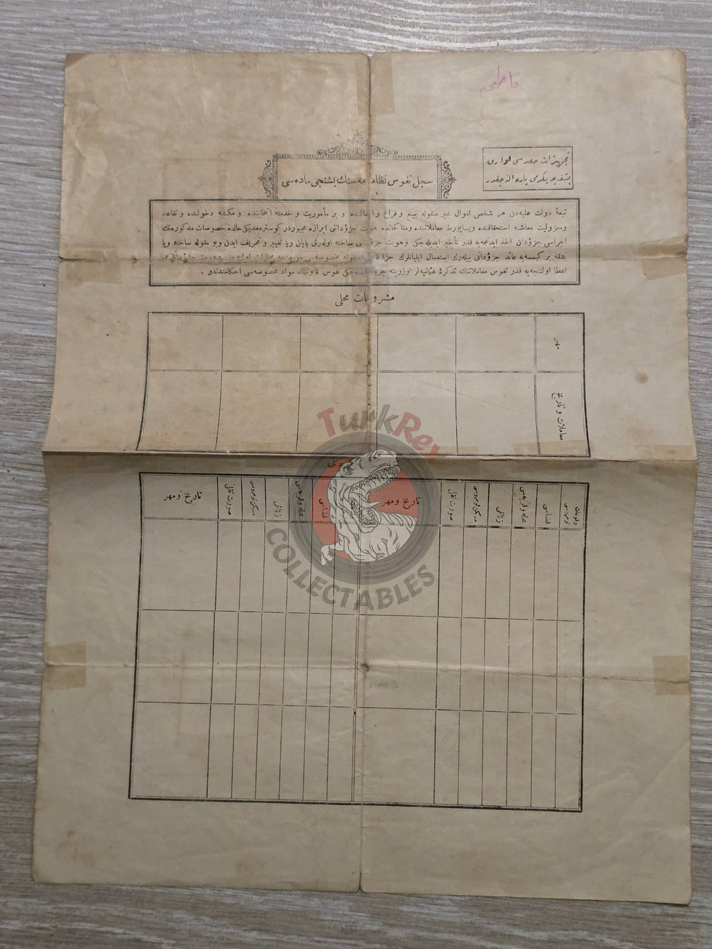 Ottoman Identity Document 1919 İstanbul Muslim Female Citizen Fatma Safinaz