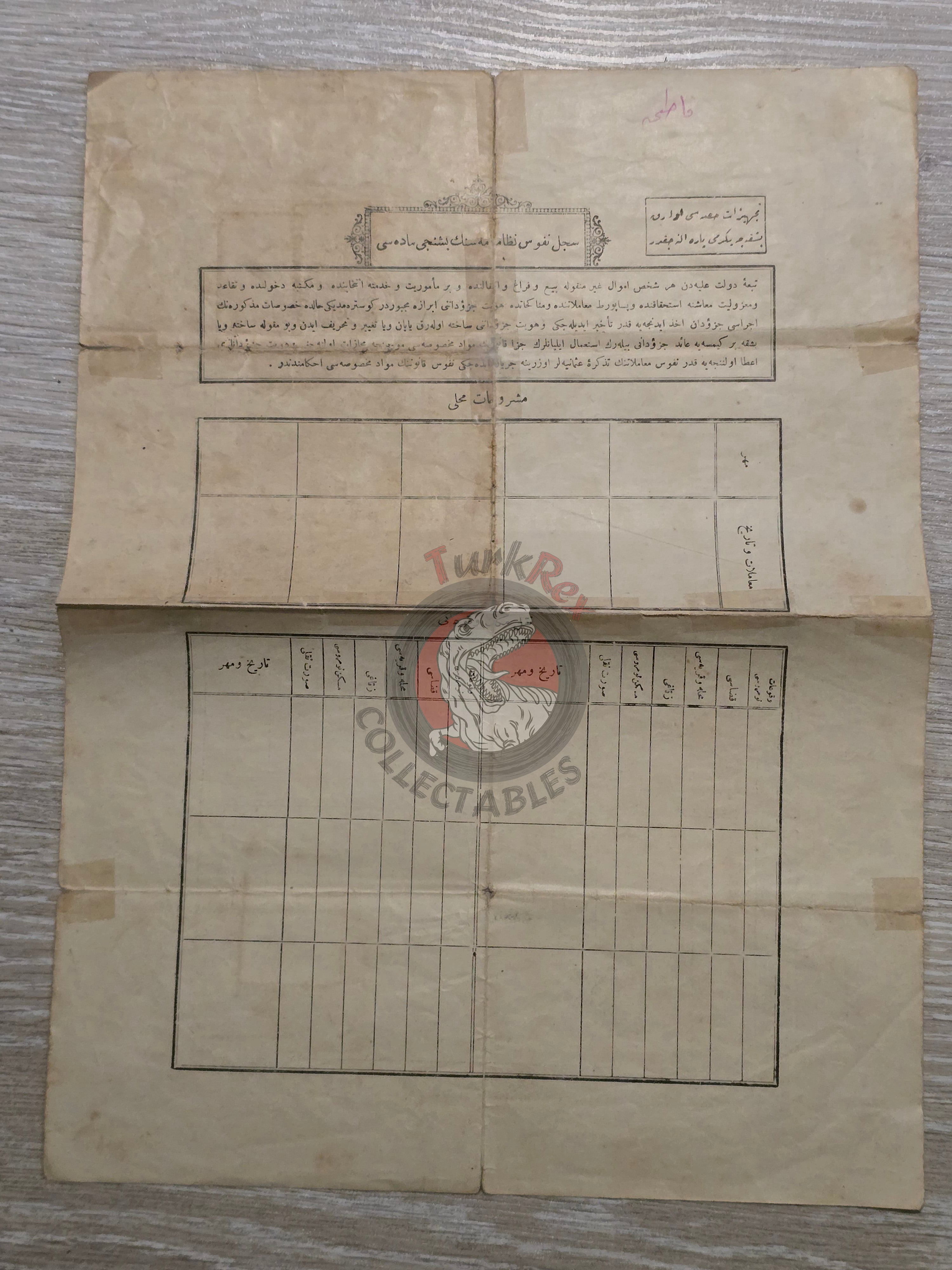 Ottoman Identity Document 1919 İstanbul Muslim Female Citizen Fatma Safinaz