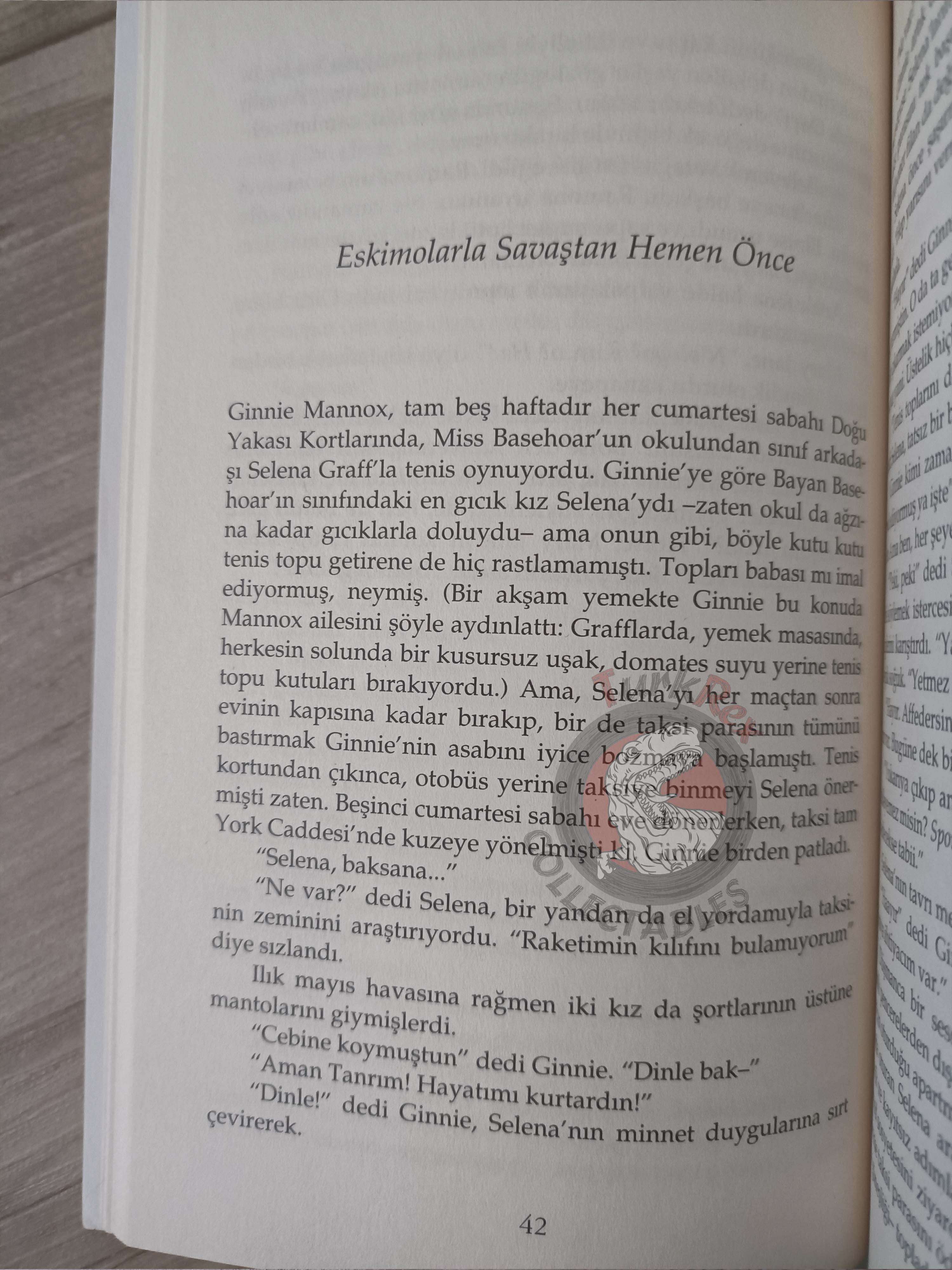 J. D. Salinger – Nine Stories Turkish Book Turkey