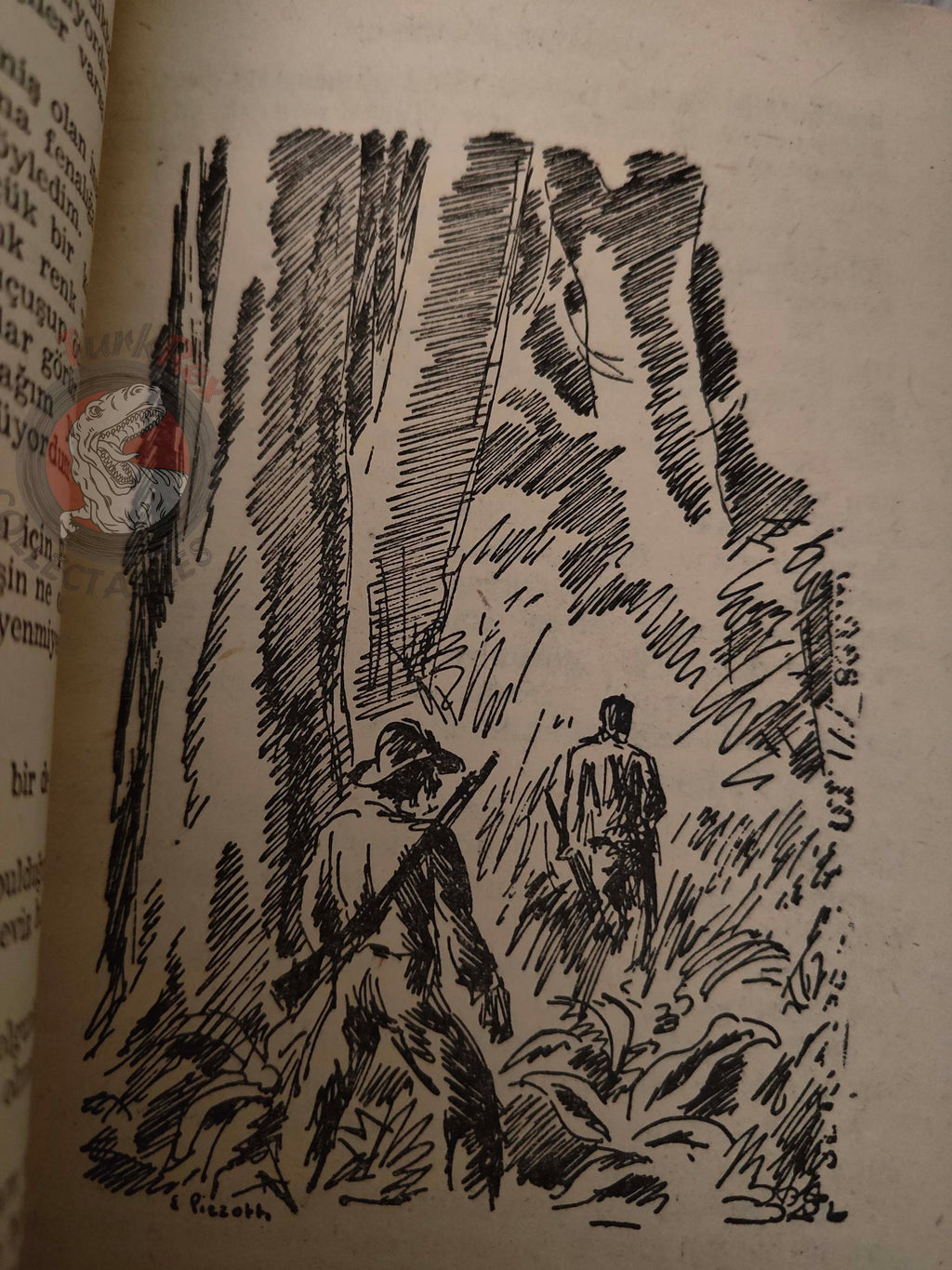 Johann David Wyss – The Swiss Family Robinson 1957 Turkish Book Turkey Illustrated