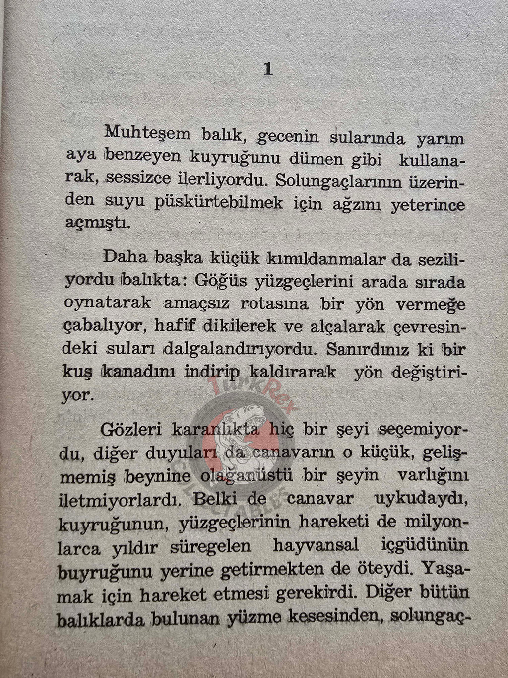 Peter Benchley  – Jaws 1974 1st Turkish Book Turkey Steven Spielberg