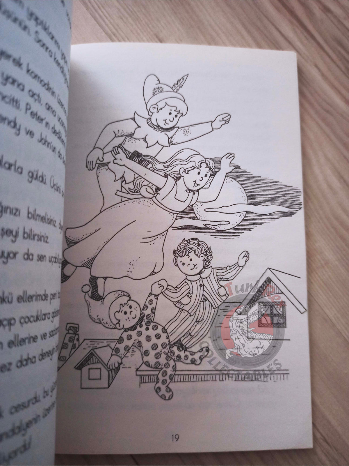 J. M. Barrie – Peter Pan 2010 Turkish Book Turkey Illustrated 1