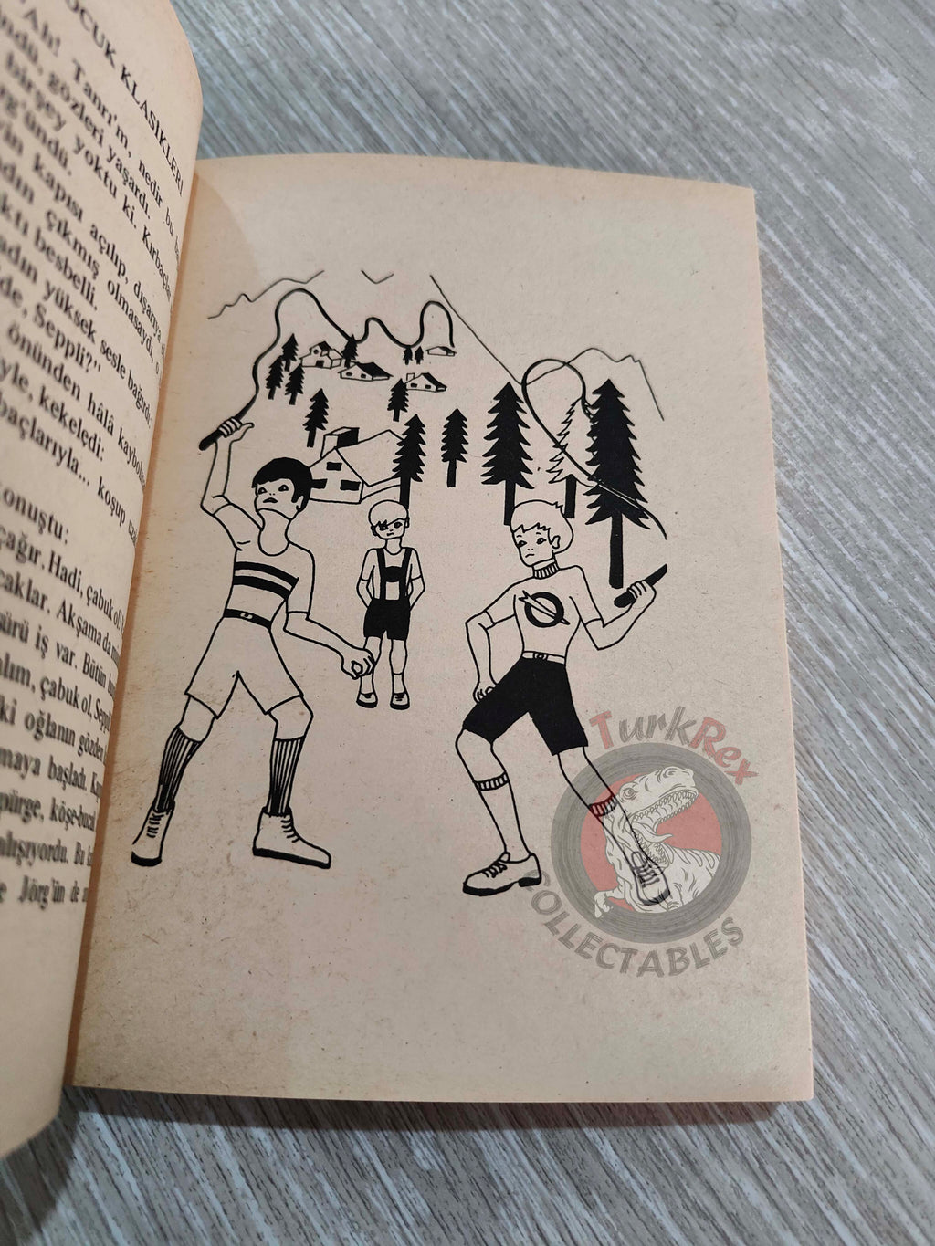 Johanna Spyri – Little Miss Grasshopper 1970s Turkish Book Turkey Illustrated