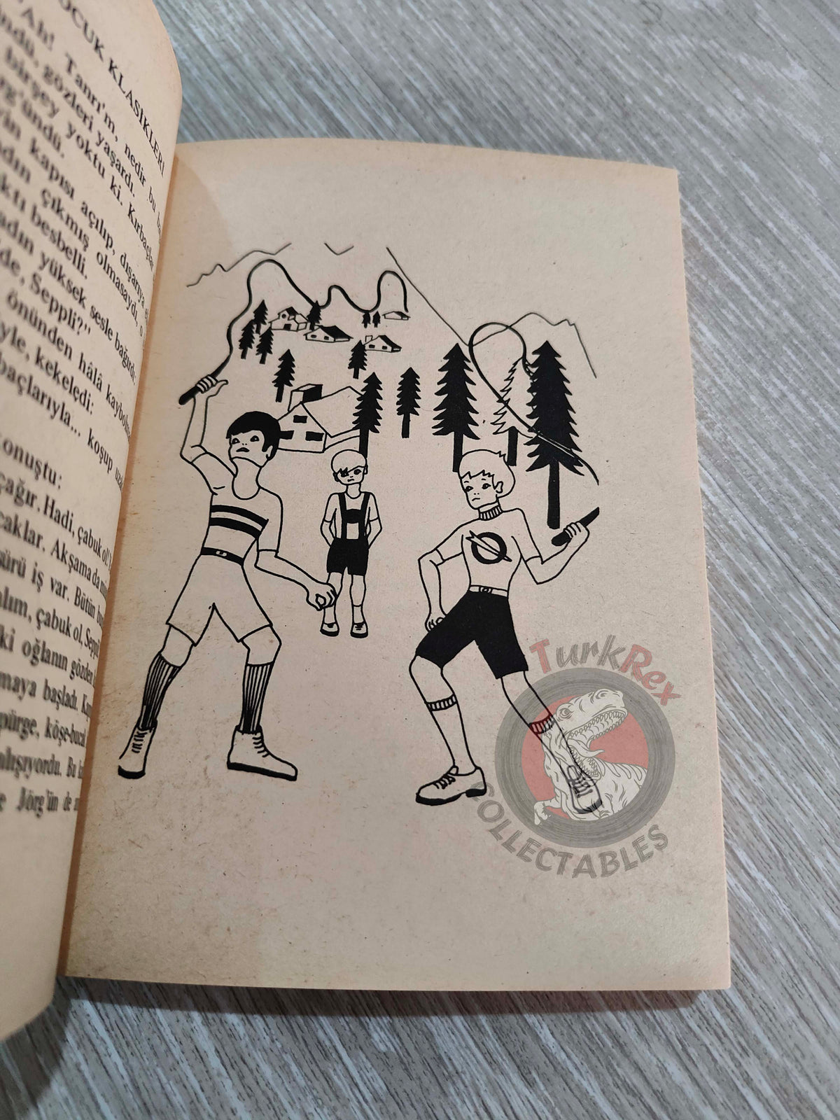 Johanna Spyri – Little Miss Grasshopper 1970s Turkish Book Turkey Illustrated
