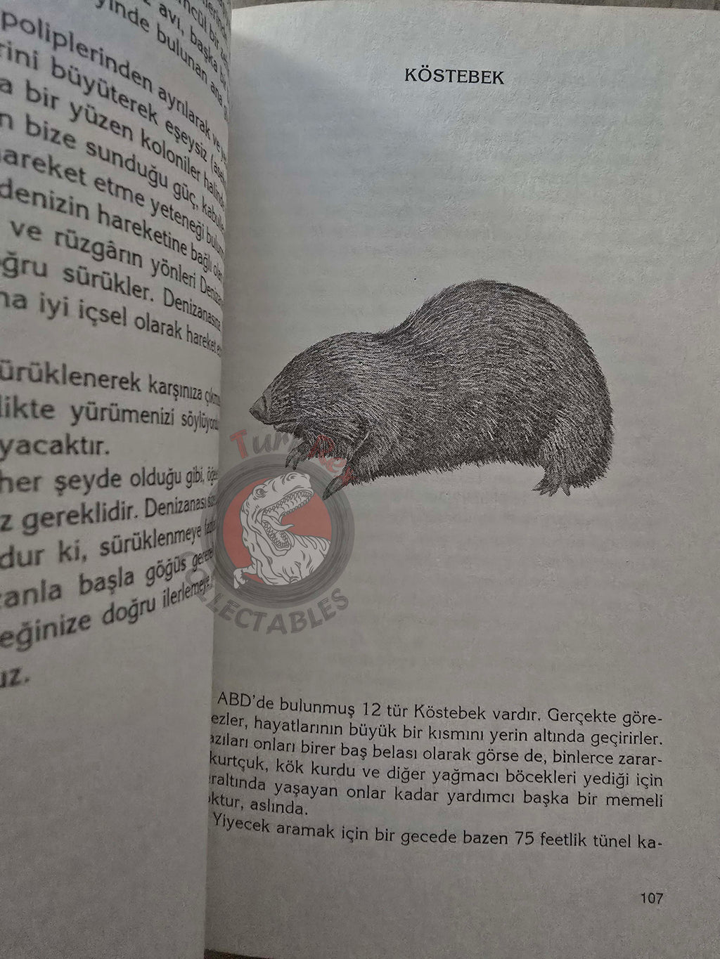 Gary Buffalo & Sherry Firedancer – Animal Energies: Interpreting 2007 Turkish Book Turkey