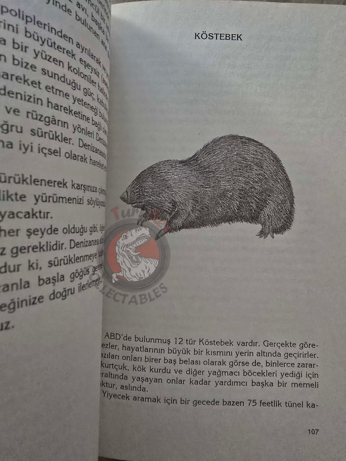 Gary Buffalo & Sherry Firedancer – Animal Energies: Interpreting 2007 Turkish Book Turkey
