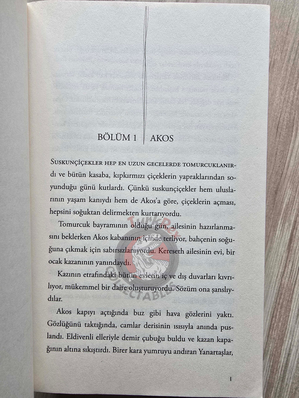 Veronica Roth – Carve the Mark 2017 1st Turkish Book Turkey