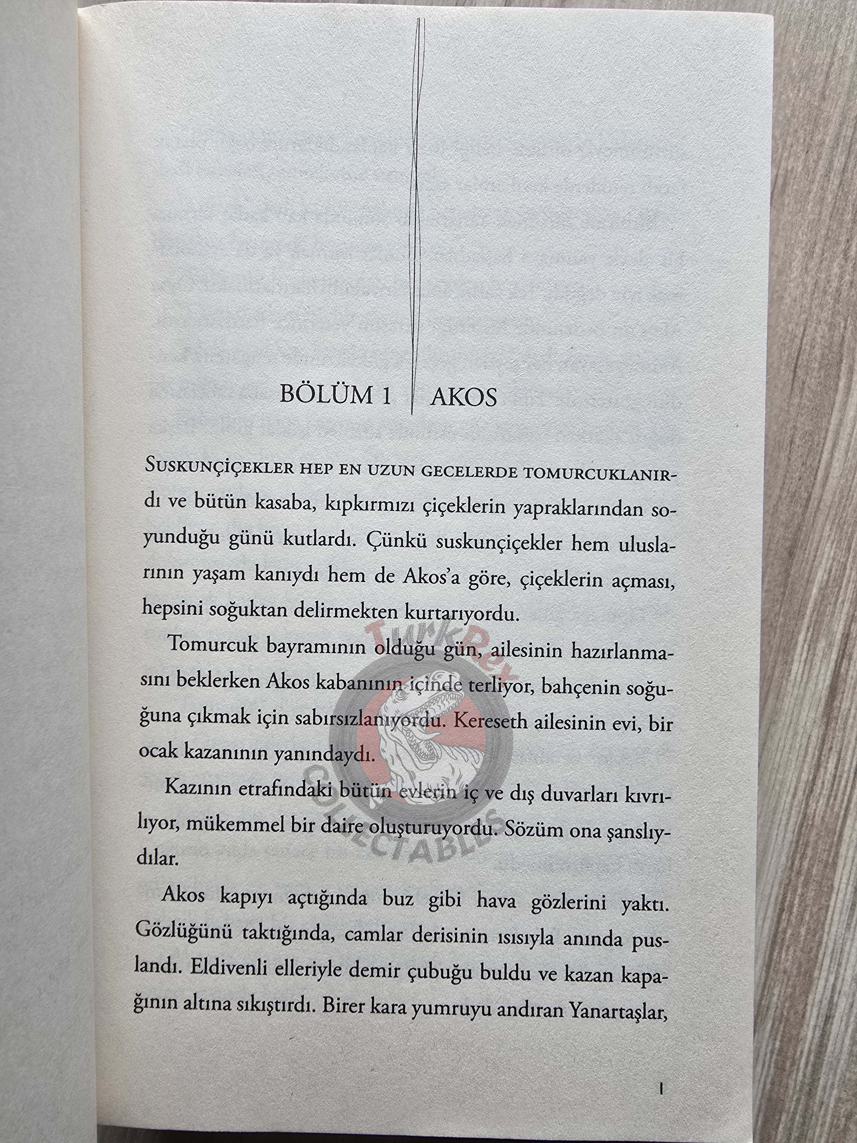 Veronica Roth – Carve the Mark 2017 1st Turkish Book Turkey