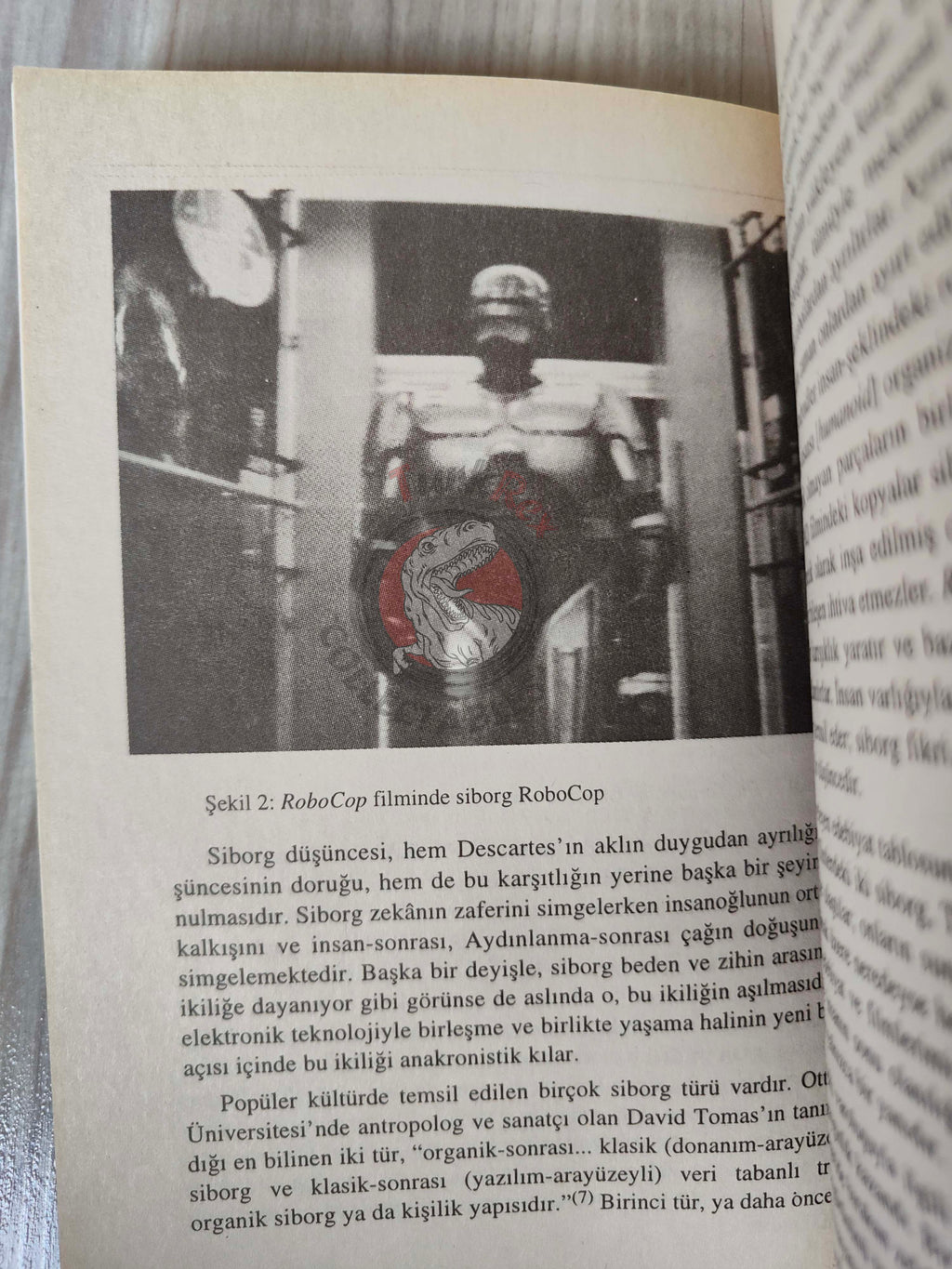 Claudia Springer – Electronic Eros 1998 1st Turkish Book Turkey