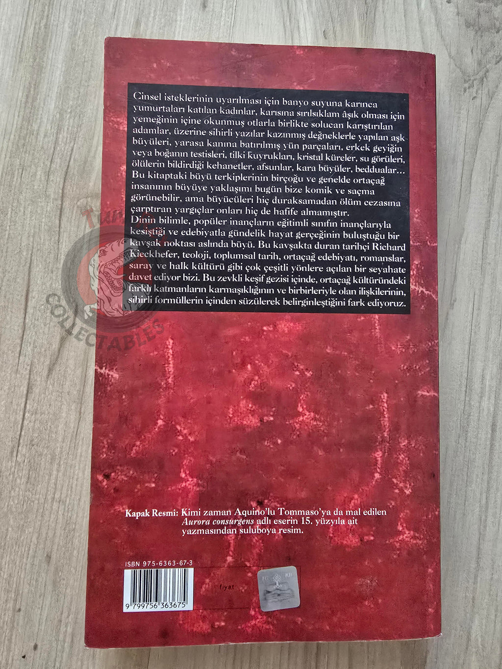 Richard Kieckhefer – Magic in the Middle Ages 2003 Turkish Book Turkey