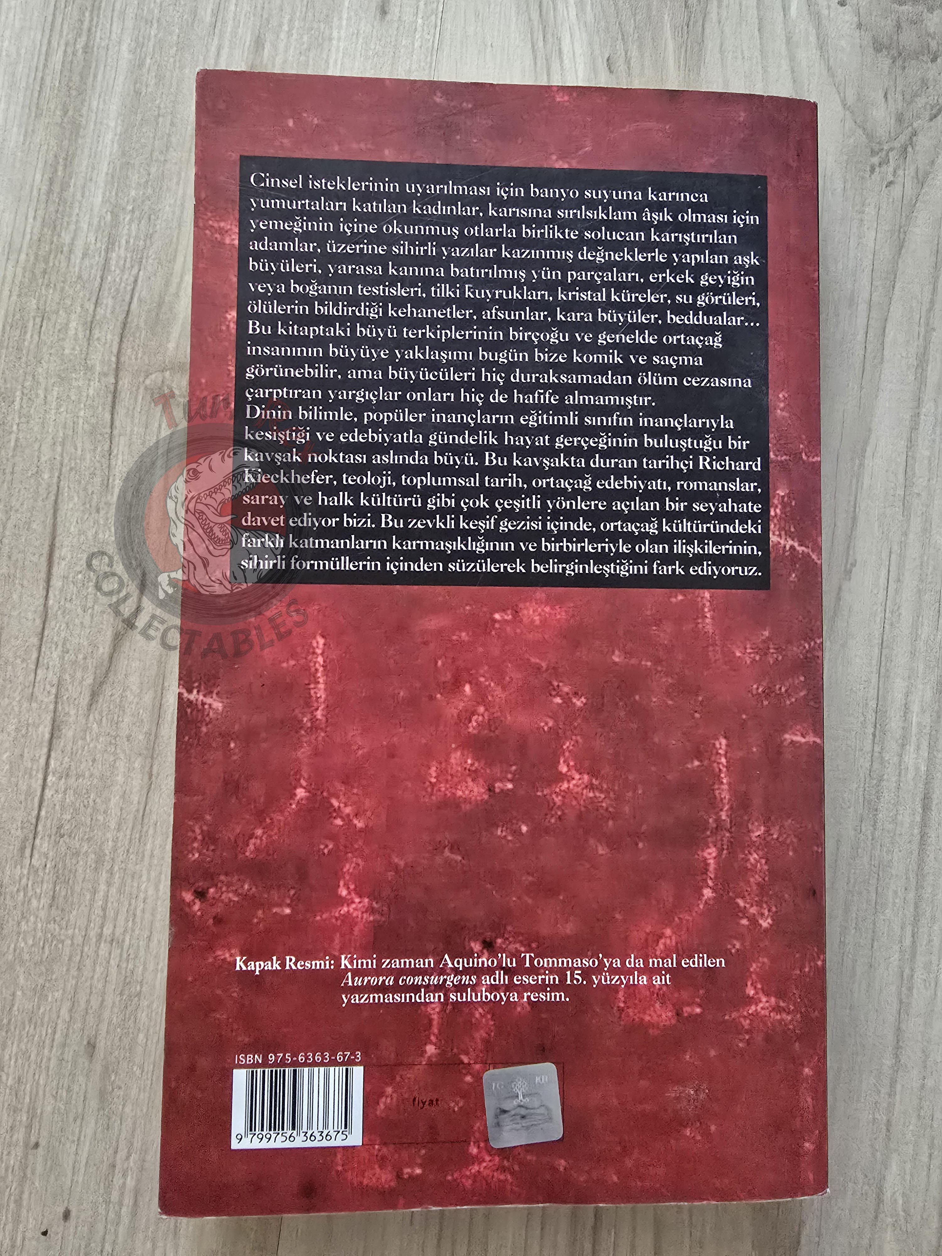 Richard Kieckhefer – Magic in the Middle Ages 2003 Turkish Book Turkey