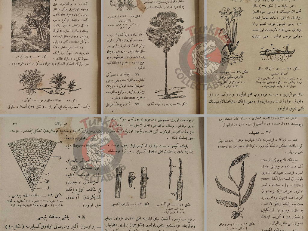 Ottoman 1924 New General History  Book with many Maps Ali Reşad Empire + Botany Plants