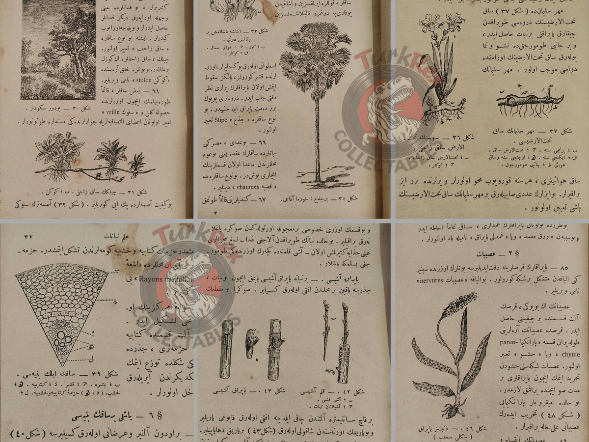 Ottoman 1924 New General History  Book with many Maps Ali Reşad Empire + Botany Plants