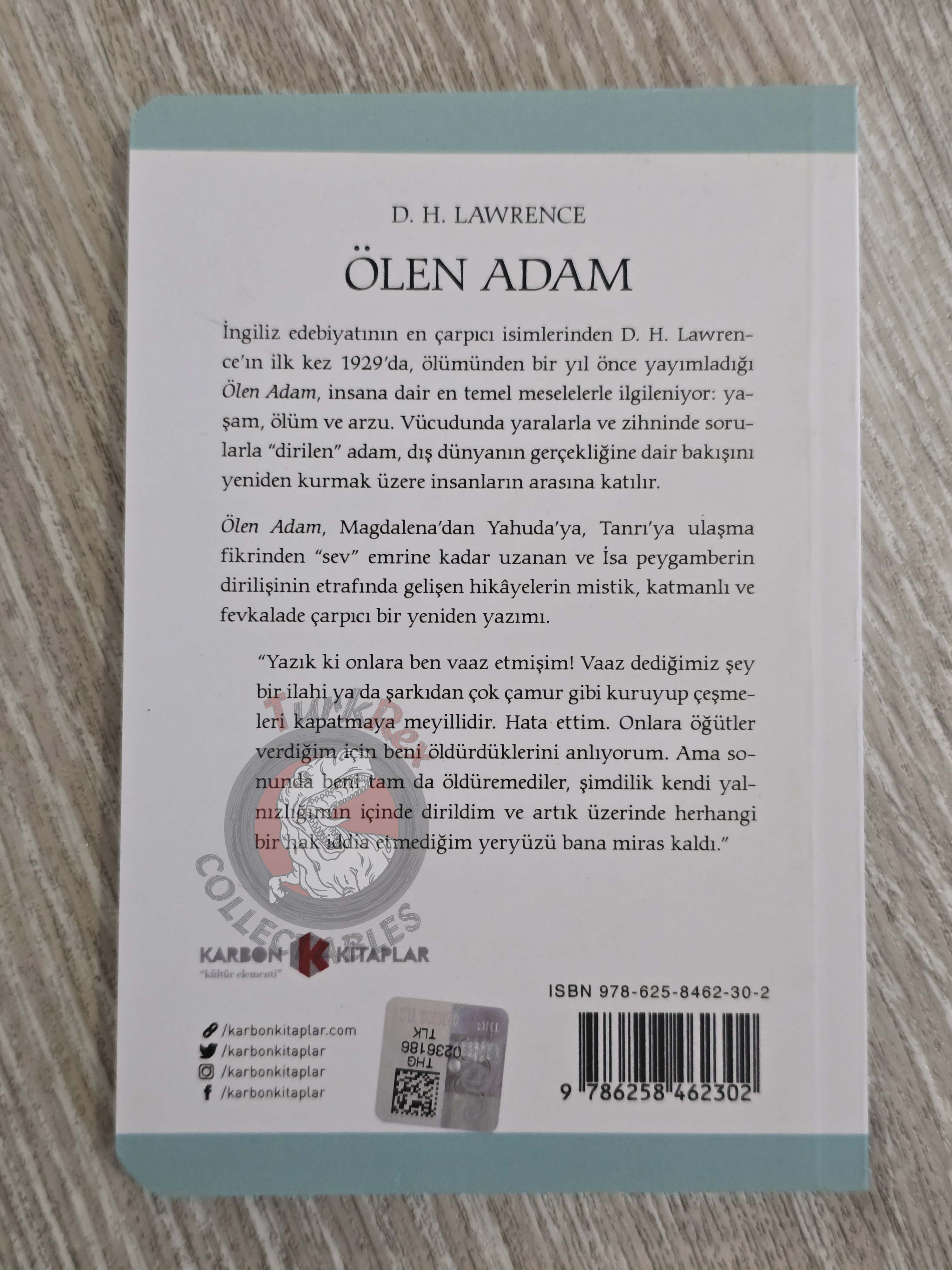 D. H. Lawrence – The Man Who Died 2021 Turkish Book Turkey
