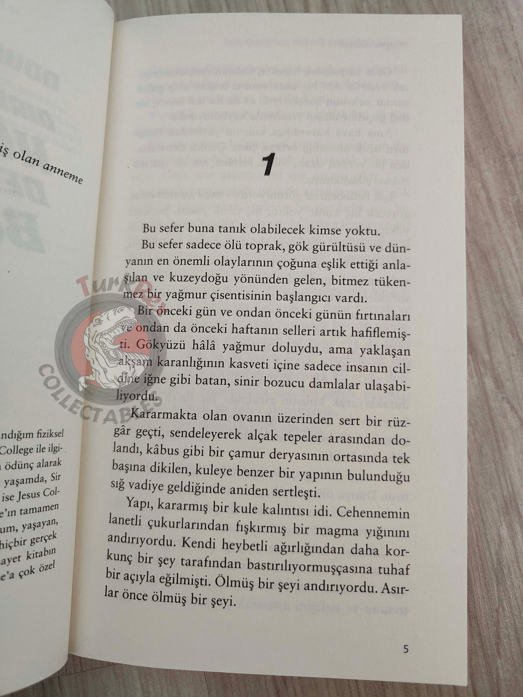 Douglas Adams – Dirk Gently’s Holistic Detective Agency 2018 Turkish Book Turkey