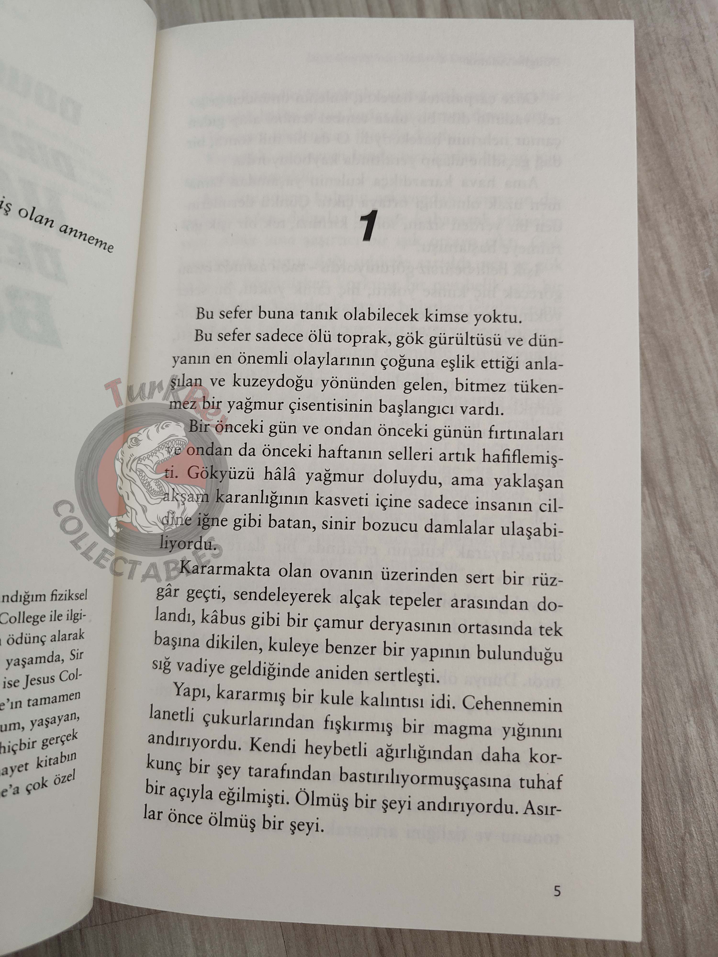 Douglas Adams – Dirk Gently’s Holistic Detective Agency 2018 Turkish Book Turkey