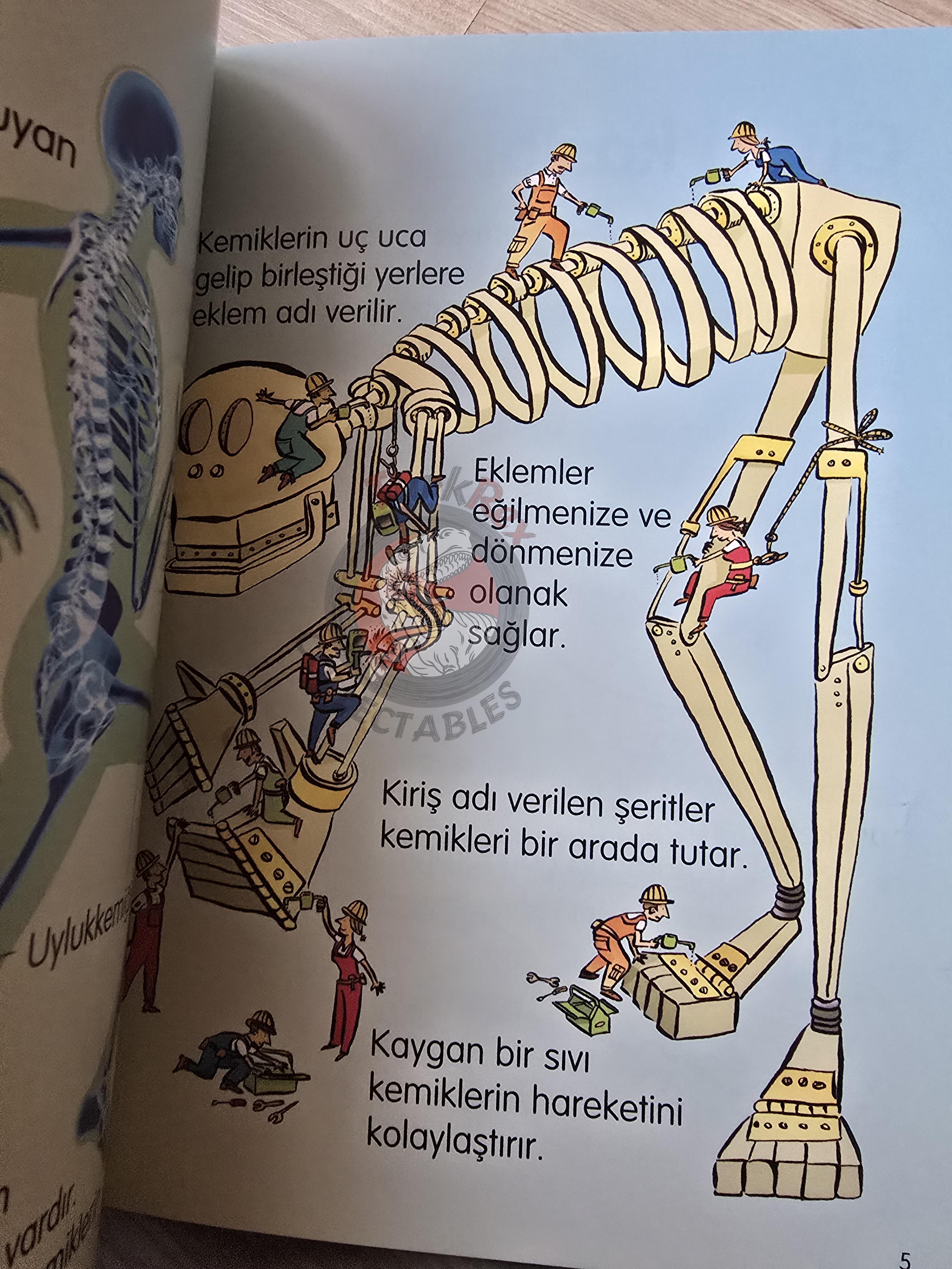 Stephanie Turnbull – Your Body 2008 Turkish Book Turkey