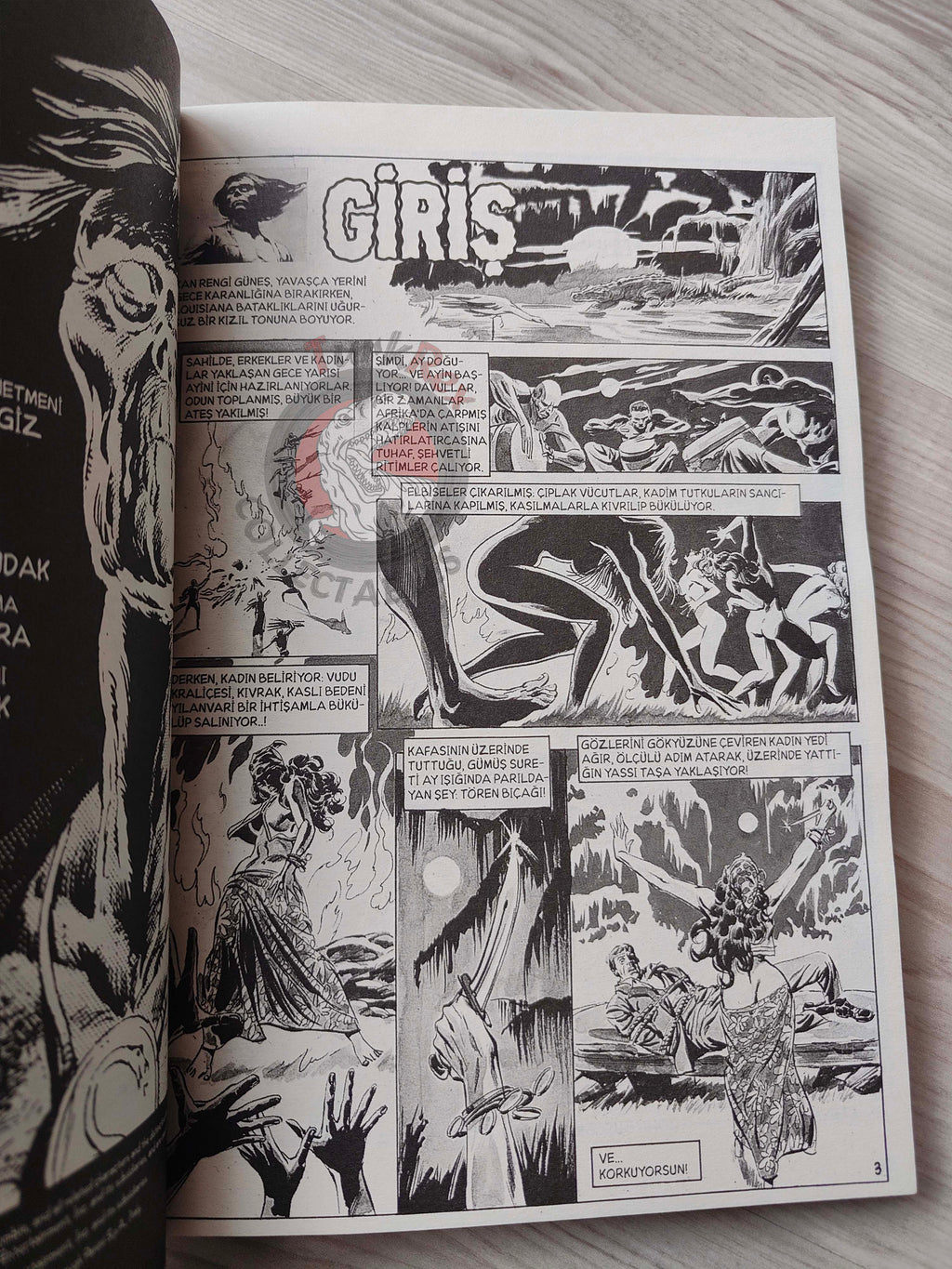 Tales of the Zombie Issue #1 to #9 2010 Turkish Comic Turkey Essential