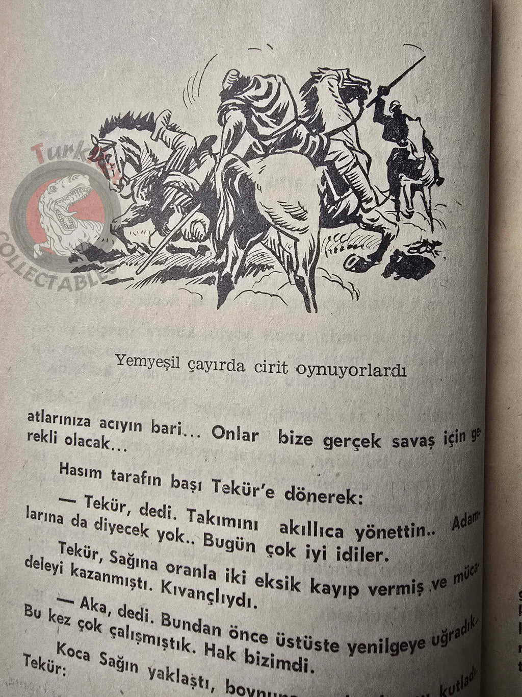 Dilibal – Wild Horses 1960s Turkish Book Turkey Illustrated Turkic tribes