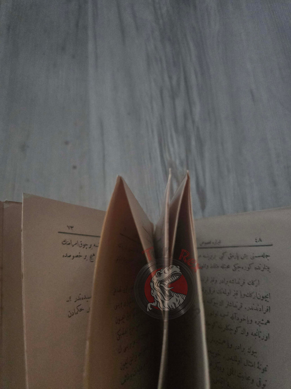 A Moral Science Textbook for Girls 1898 Ottoman Turkish Book Empire Education