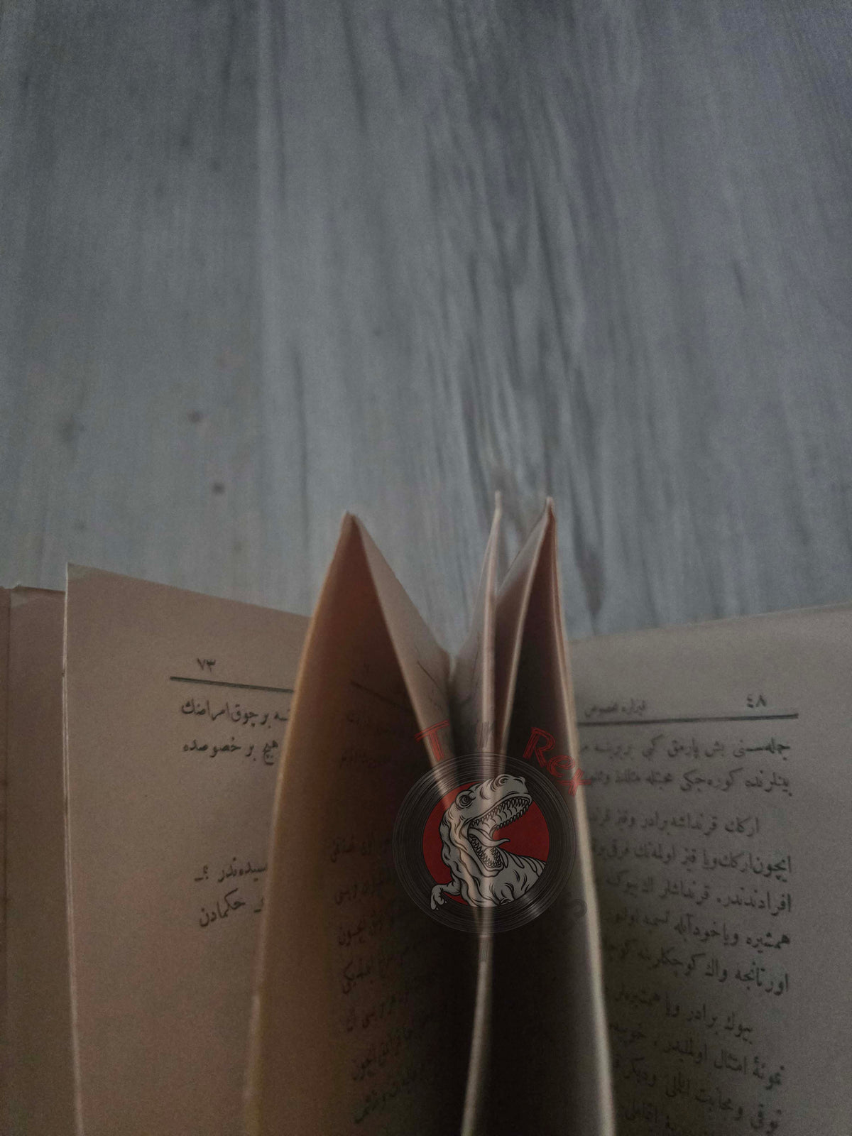 A Moral Science Textbook for Girls 1898 Ottoman Turkish Book Empire Education