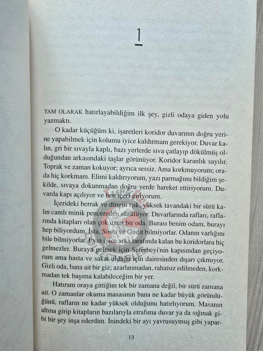 Ursula K. Le Guin – Voices 2009 Turkish Book Turkey