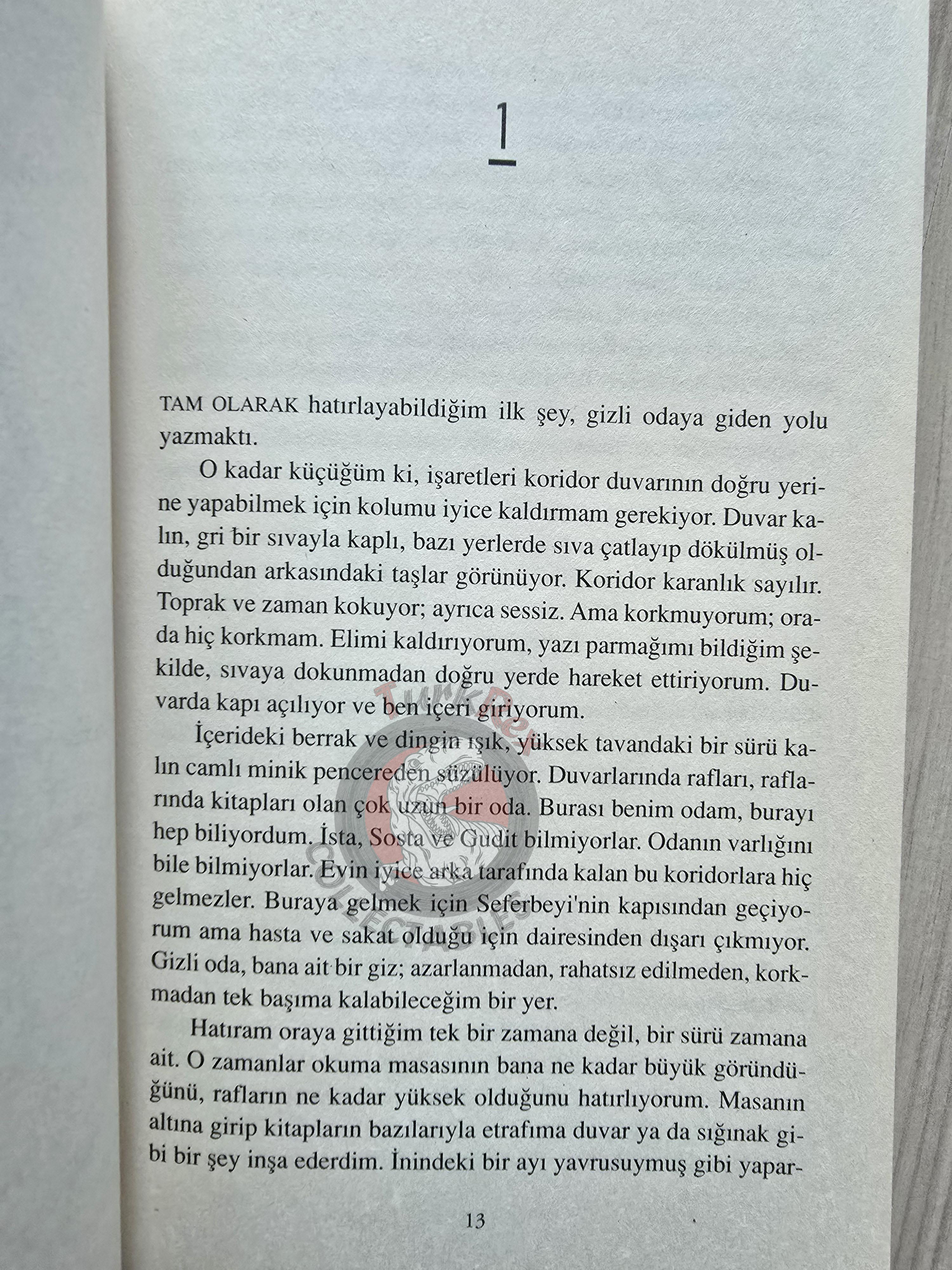 Ursula K. Le Guin – Voices 2009 Turkish Book Turkey
