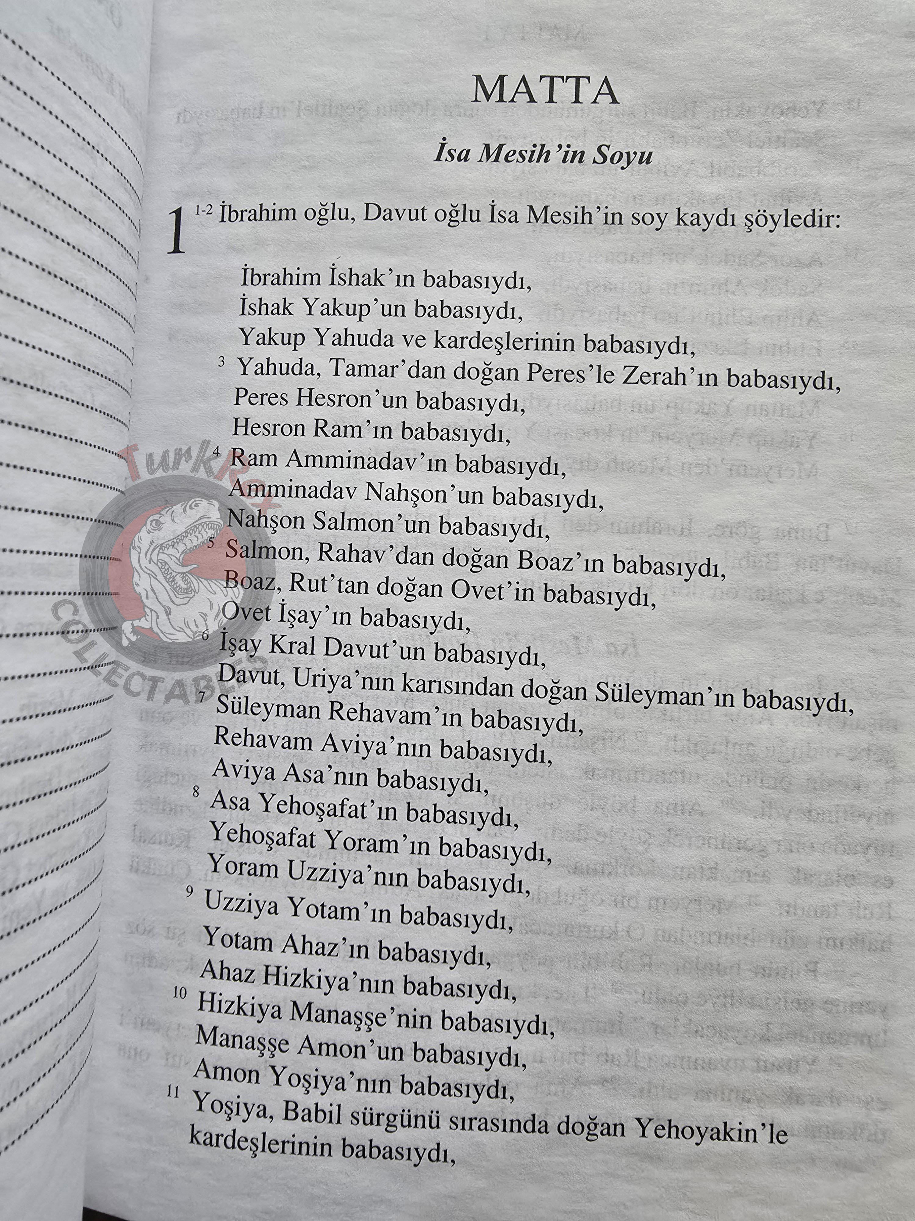 Bible The Holy Gospel 2015 Turkish Book New Testament The Gideons International