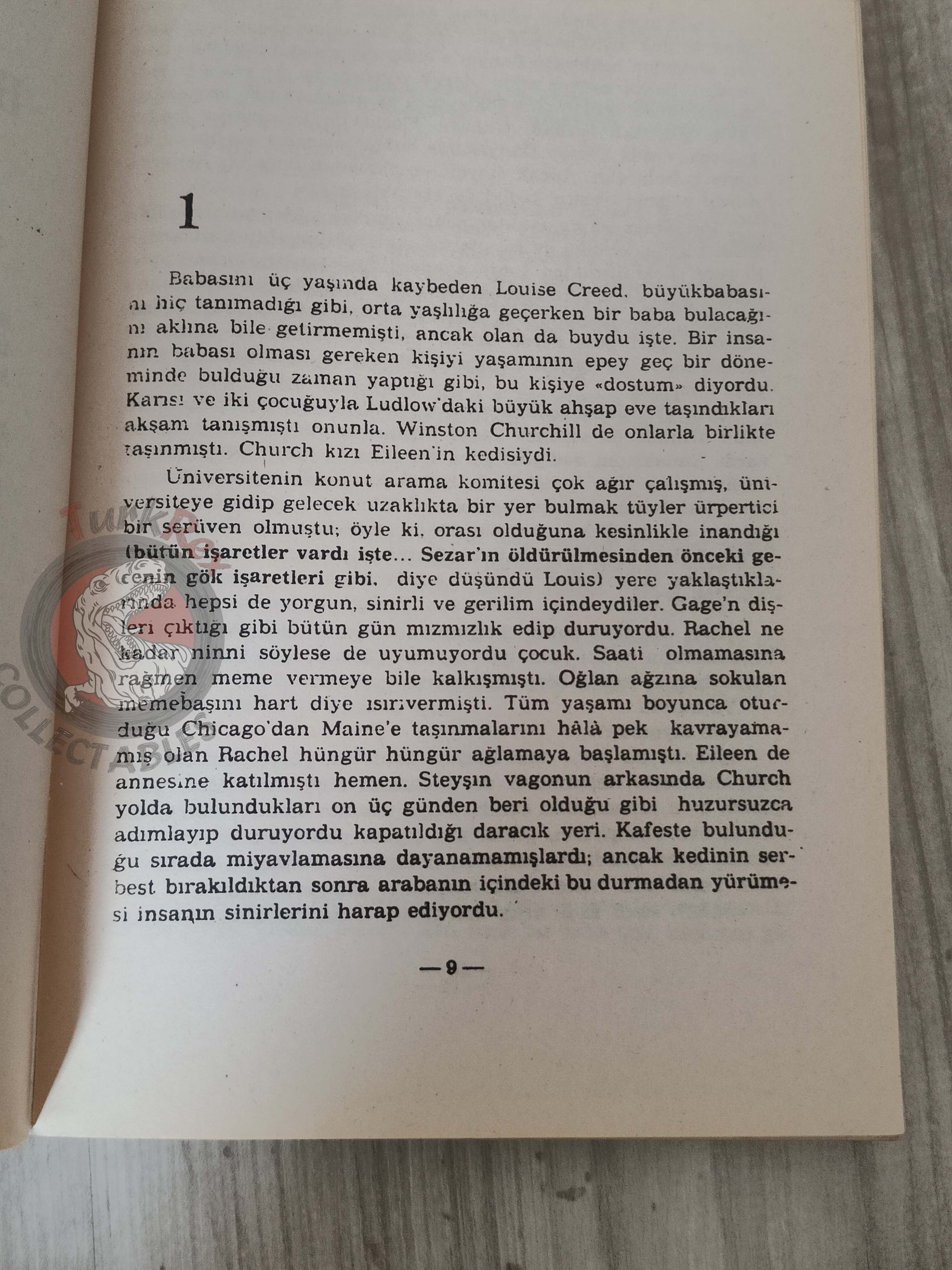 Stephen King – Pet Sematary 1990 Turkish Book Turkey