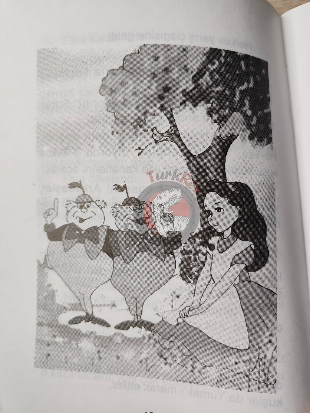 Lewis Carroll – Alice in Wonderland 2003 Turkish Book Turkey Illustrated