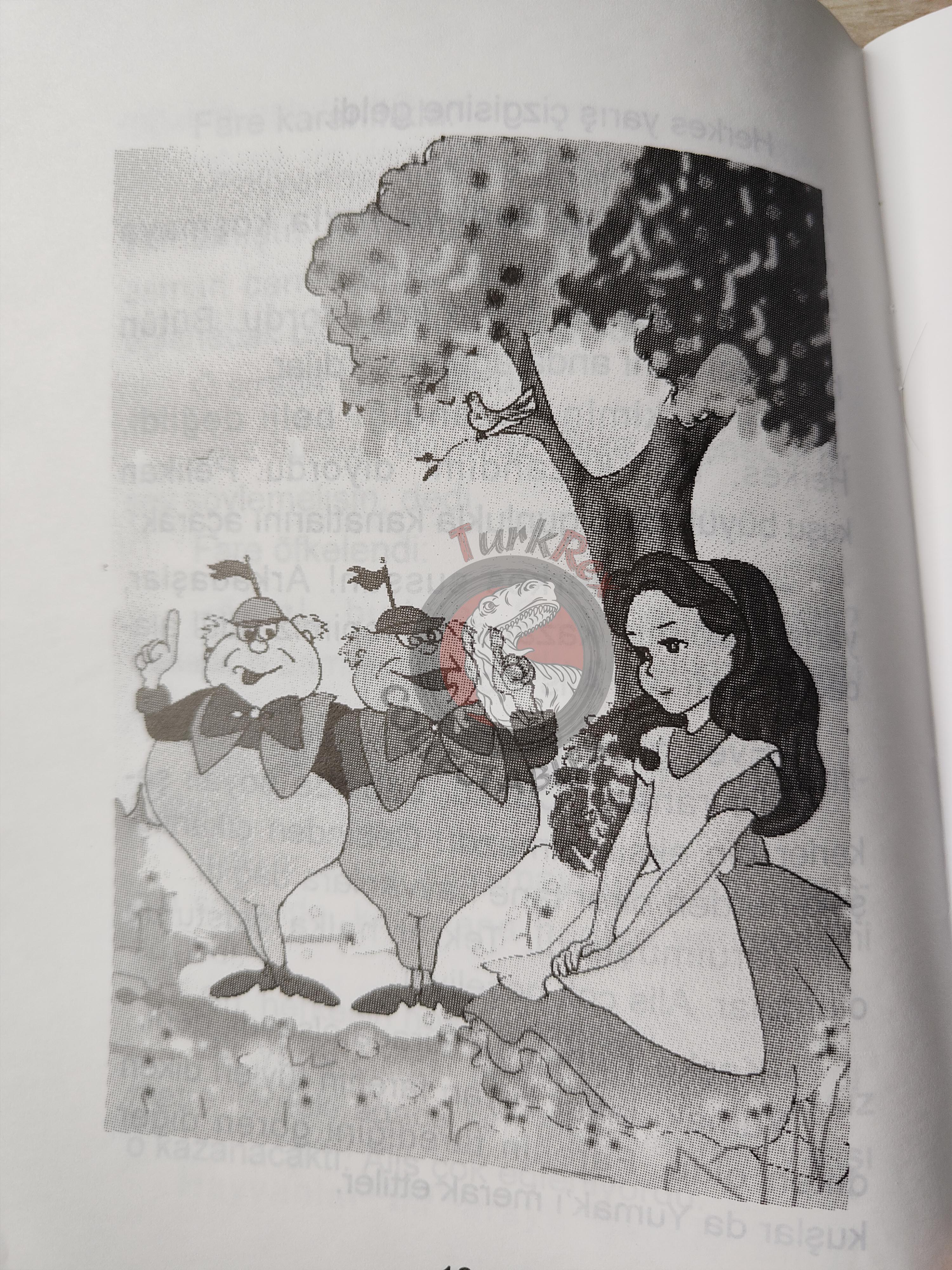 Lewis Carroll – Alice in Wonderland 2003 Turkish Book Turkey Illustrated