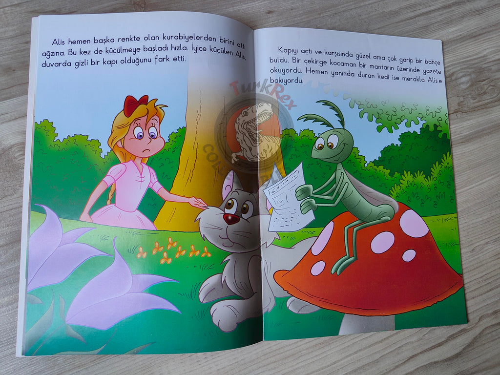 Lewis Carroll – Alice in Wonderland 2011 Turkish Book Turkey Illustrated 2