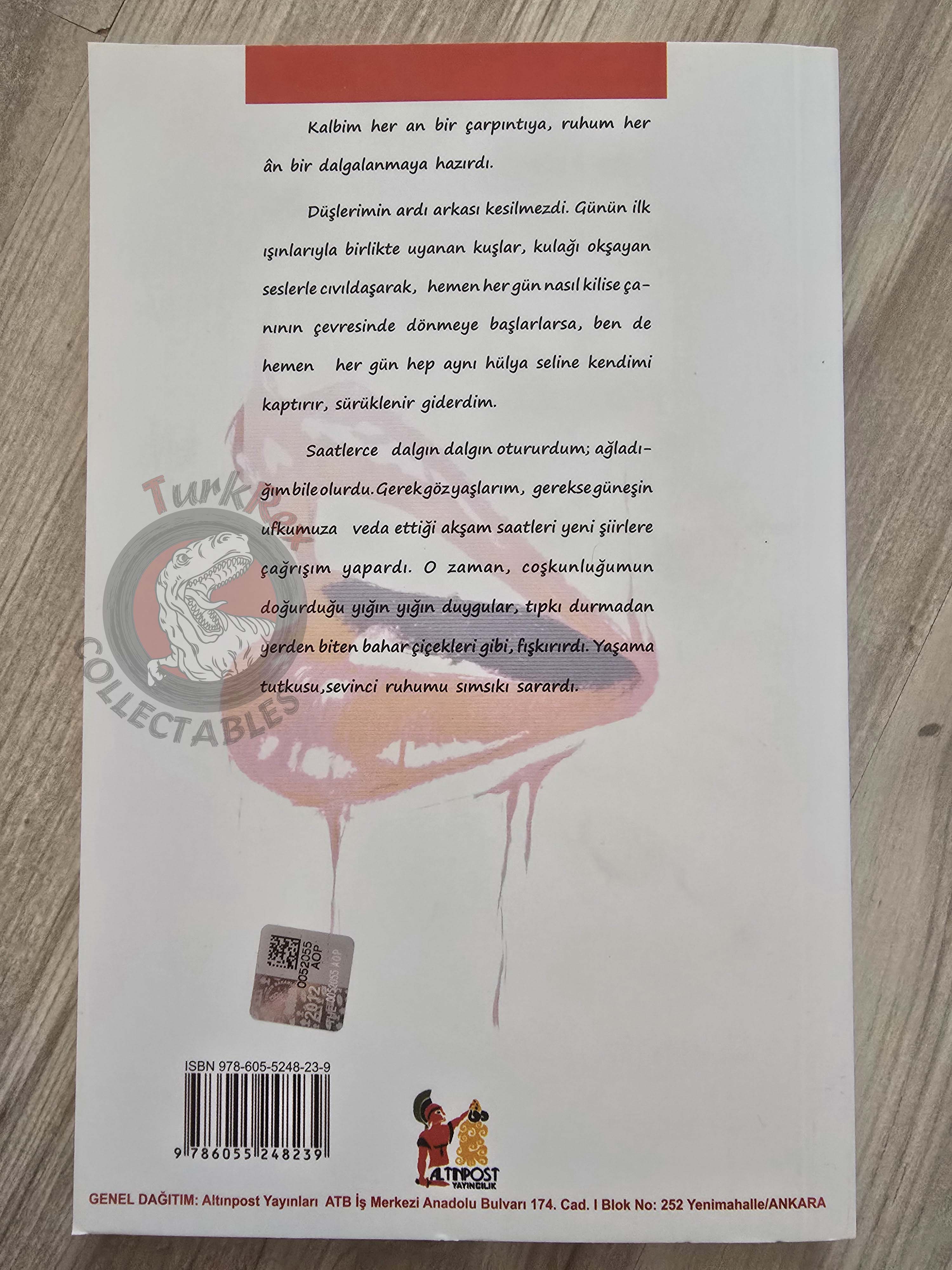 Ivan Turgenev – First Love 2012 Turkish Book Turkey