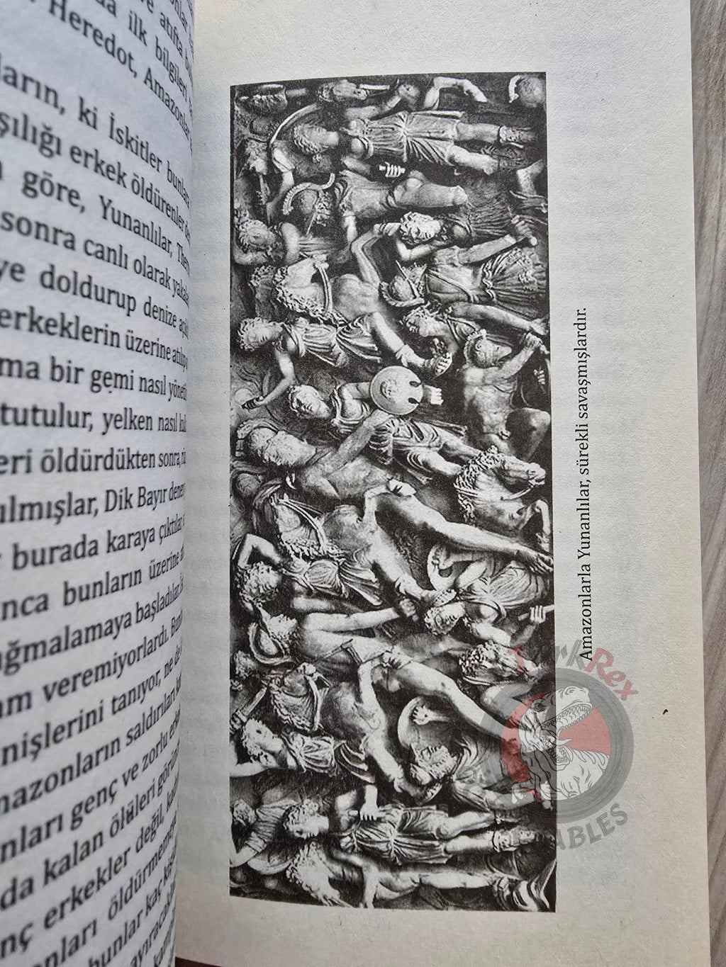 Tayfun Pekyürek – The Amazons 2011 Turkish Book Turkey
