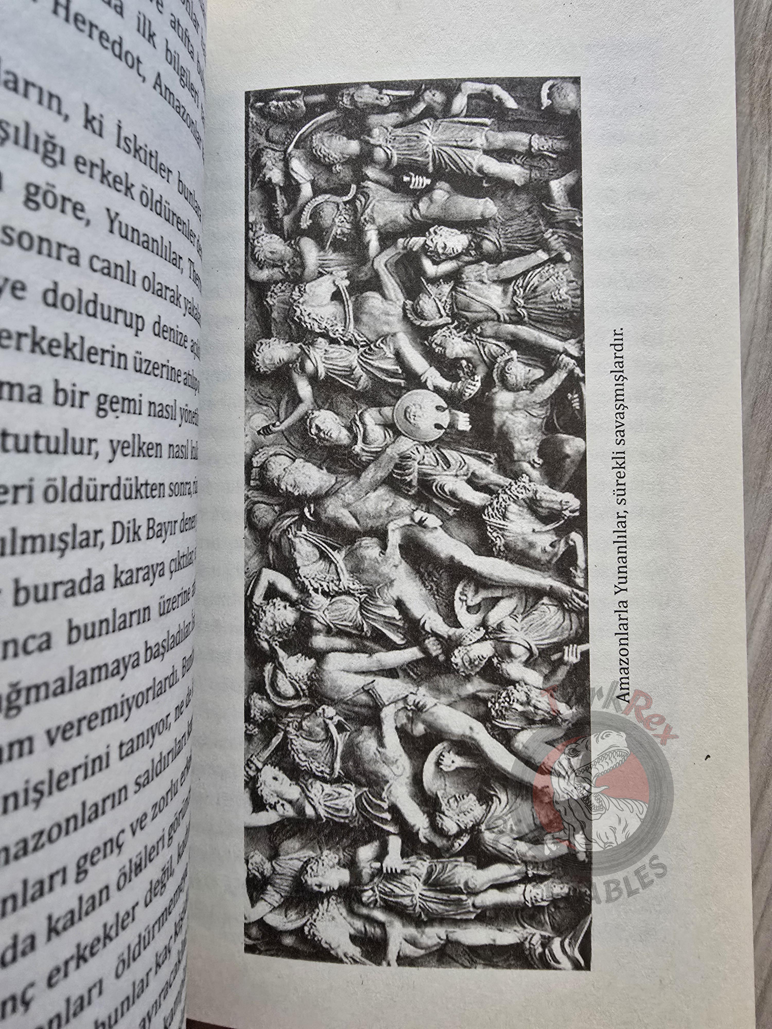 Tayfun Pekyürek – The Amazons 2011 Turkish Book Turkey