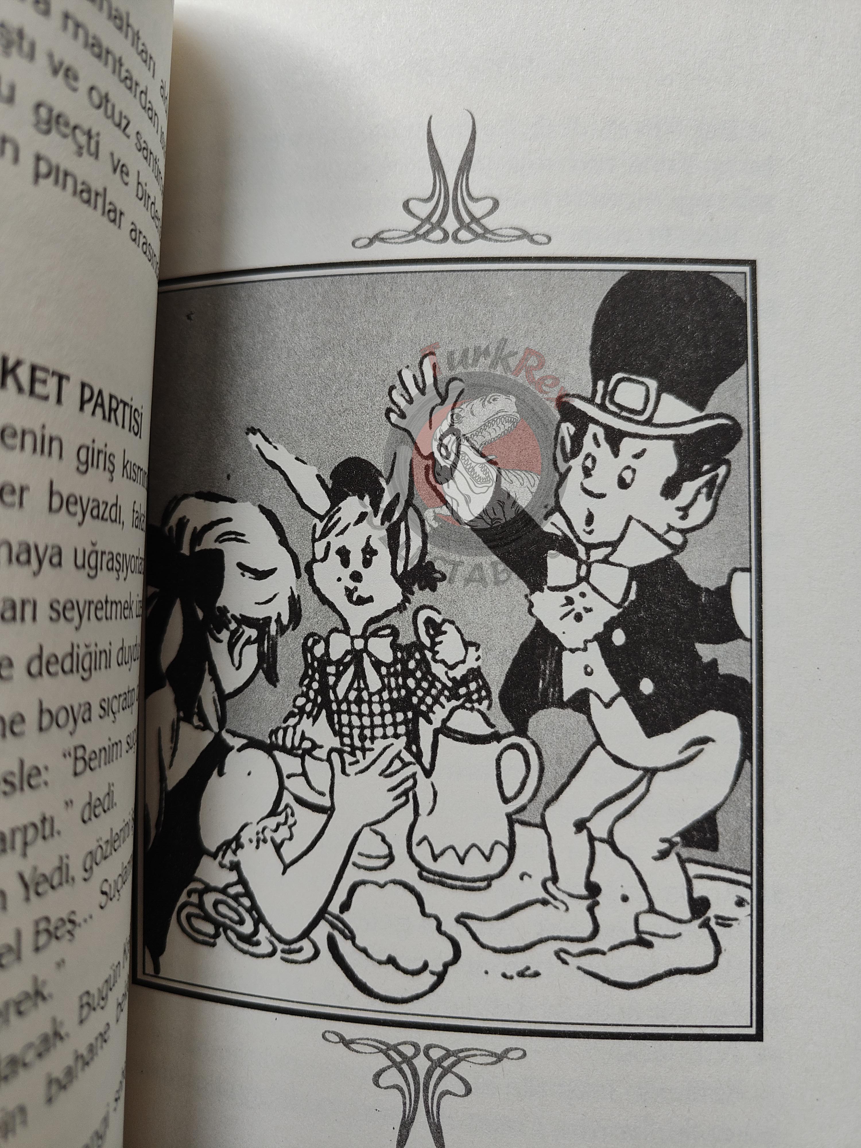 Lewis Carroll – Alice in Wonderland 2006 Turkish Book Turkey Illustrated