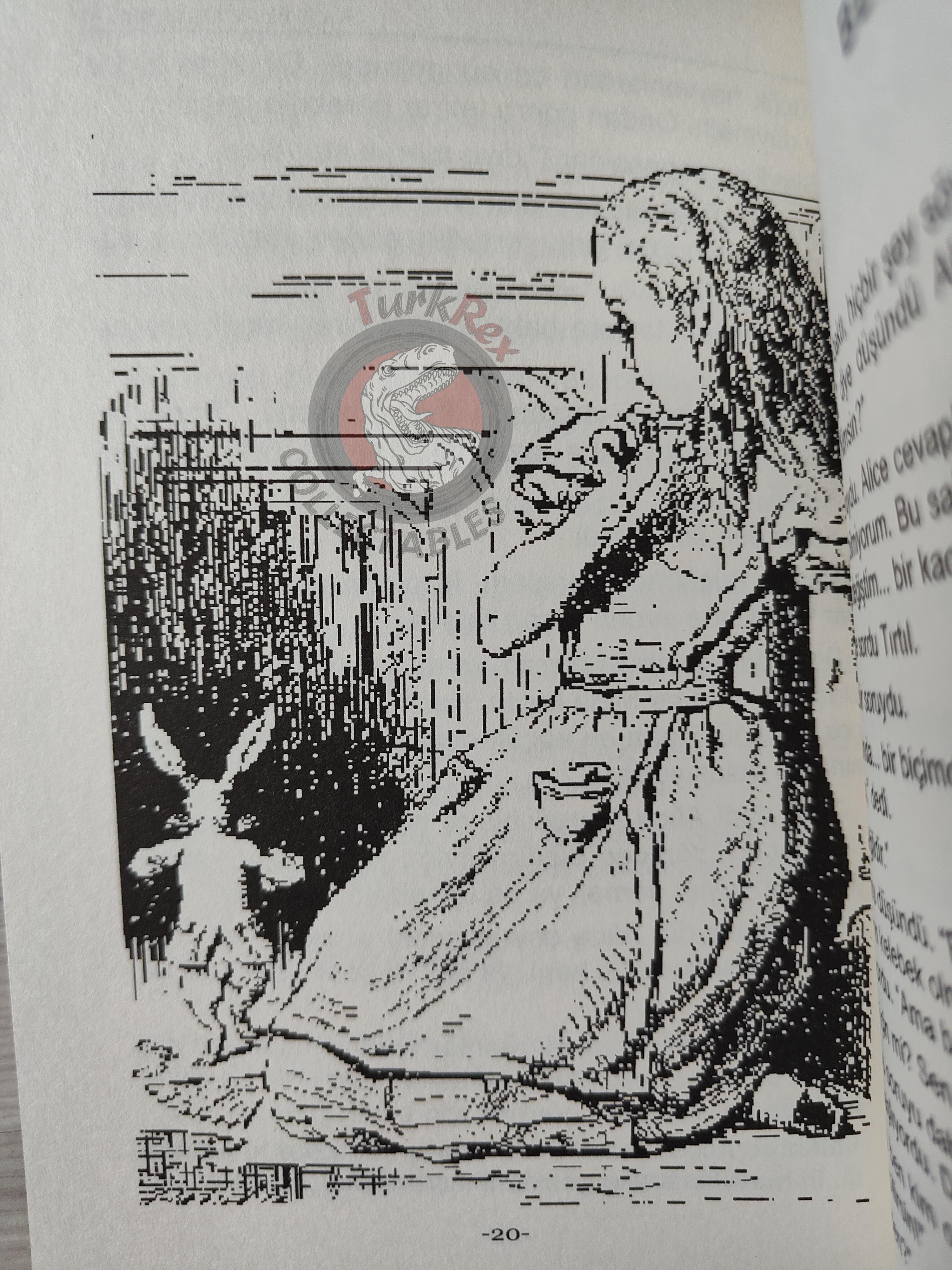 Lewis Carroll – Alice in Wonderland 2011 Turkish Book Turkey Illustrated 3