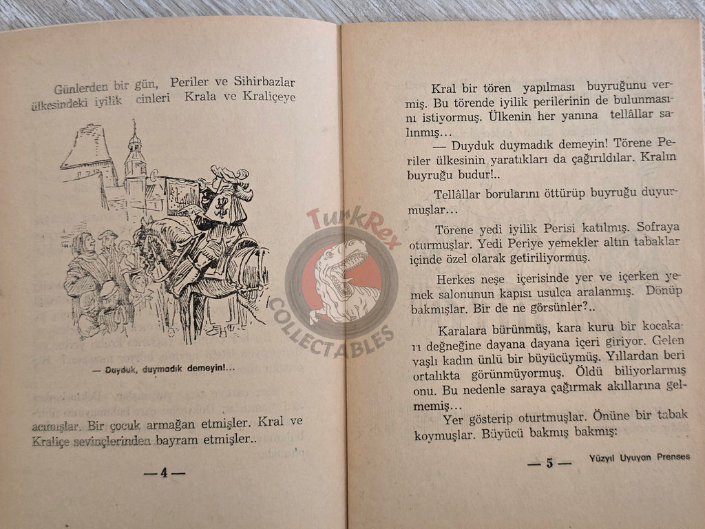 Grimm Brothers –  Sleeping Beauty 1975 Turkish Book Turkey Illustrated