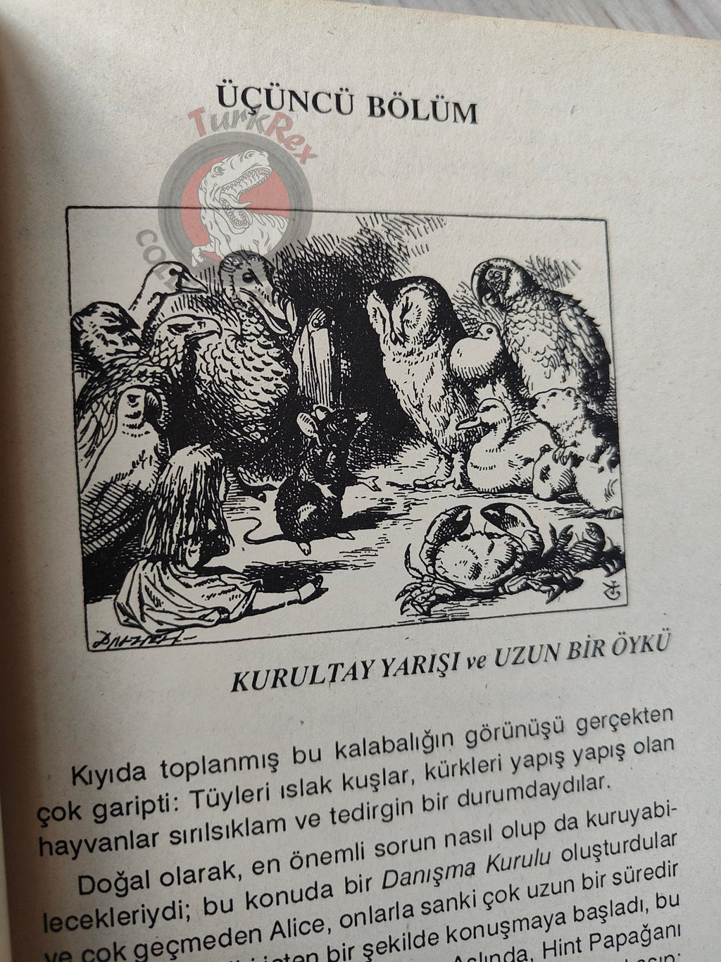 Lewis Carroll – Alice in Wonderland 1992 Turkish Book Turkey Illustrated John Tenniel