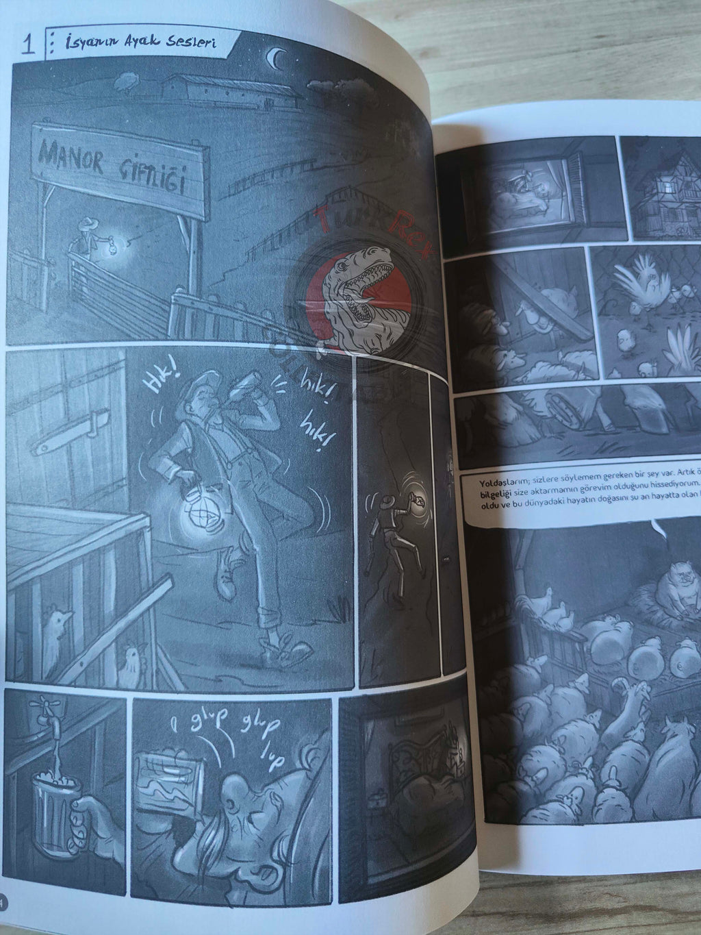George Orwell - Animal Farm Turkish Comic Turkey Unique Drawings