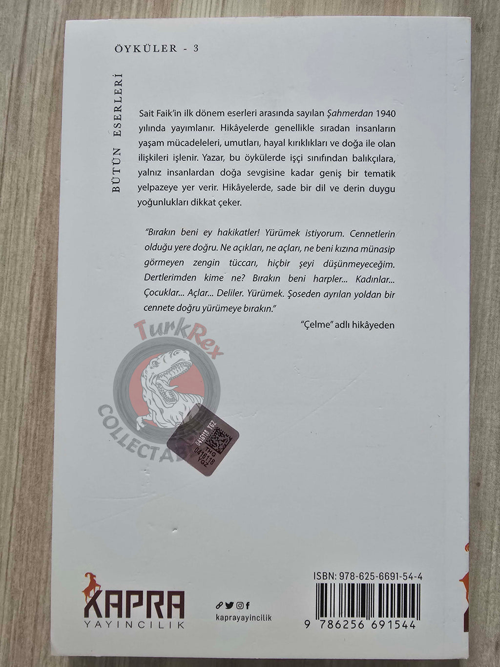 Sait Faik Abasıyanık – Shahmaran Şahmerdan 2025 Turkish Book Turkey