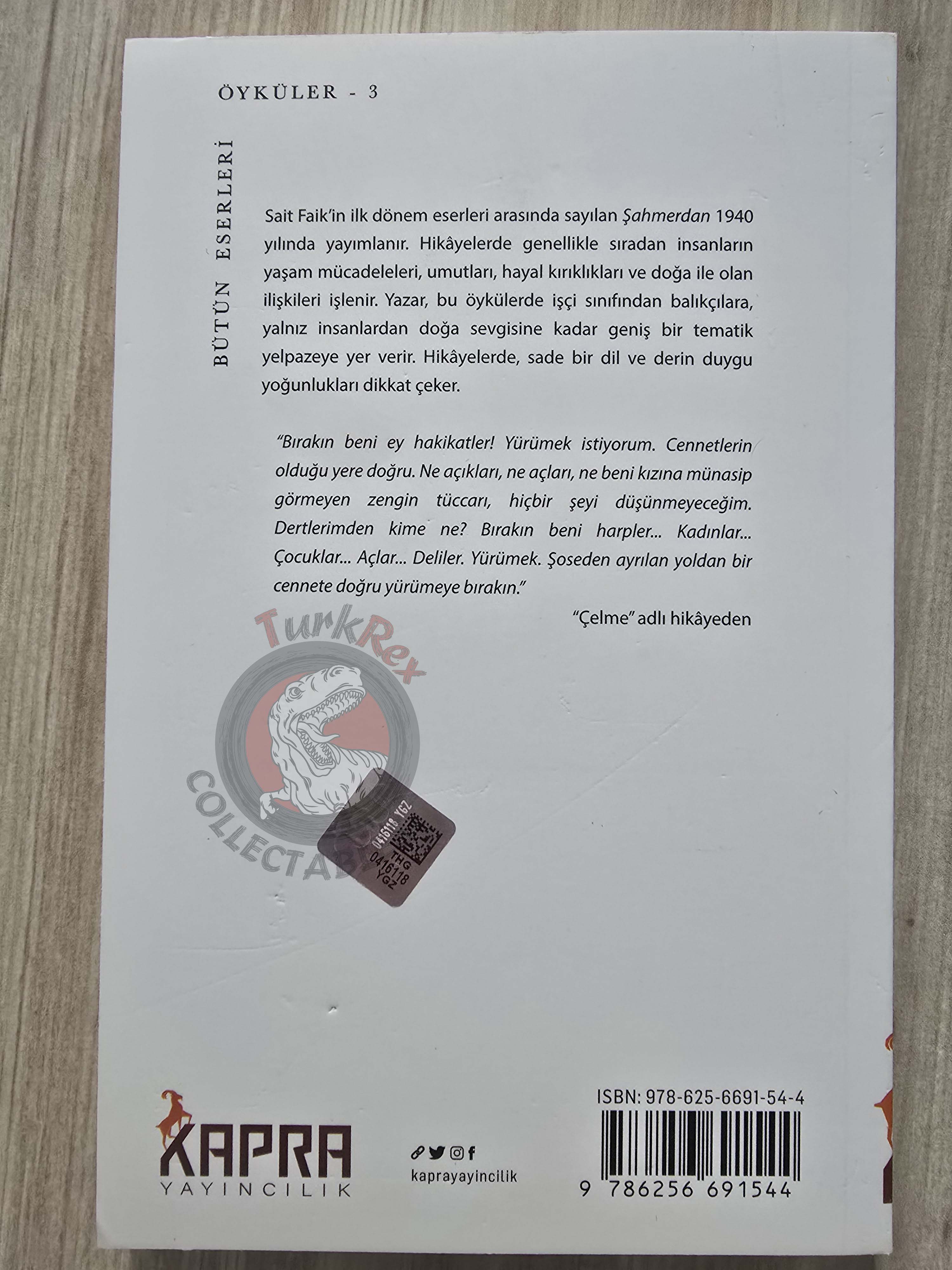 Sait Faik Abasıyanık – Shahmaran Şahmerdan 2025 Turkish Book Turkey
